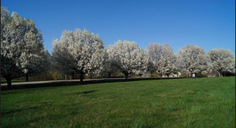 LOT 43 EAGLE RIDGE , MISSOURI VALLEY