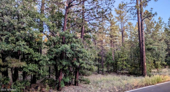 2095 S PINE LAKE Road, Pinetop