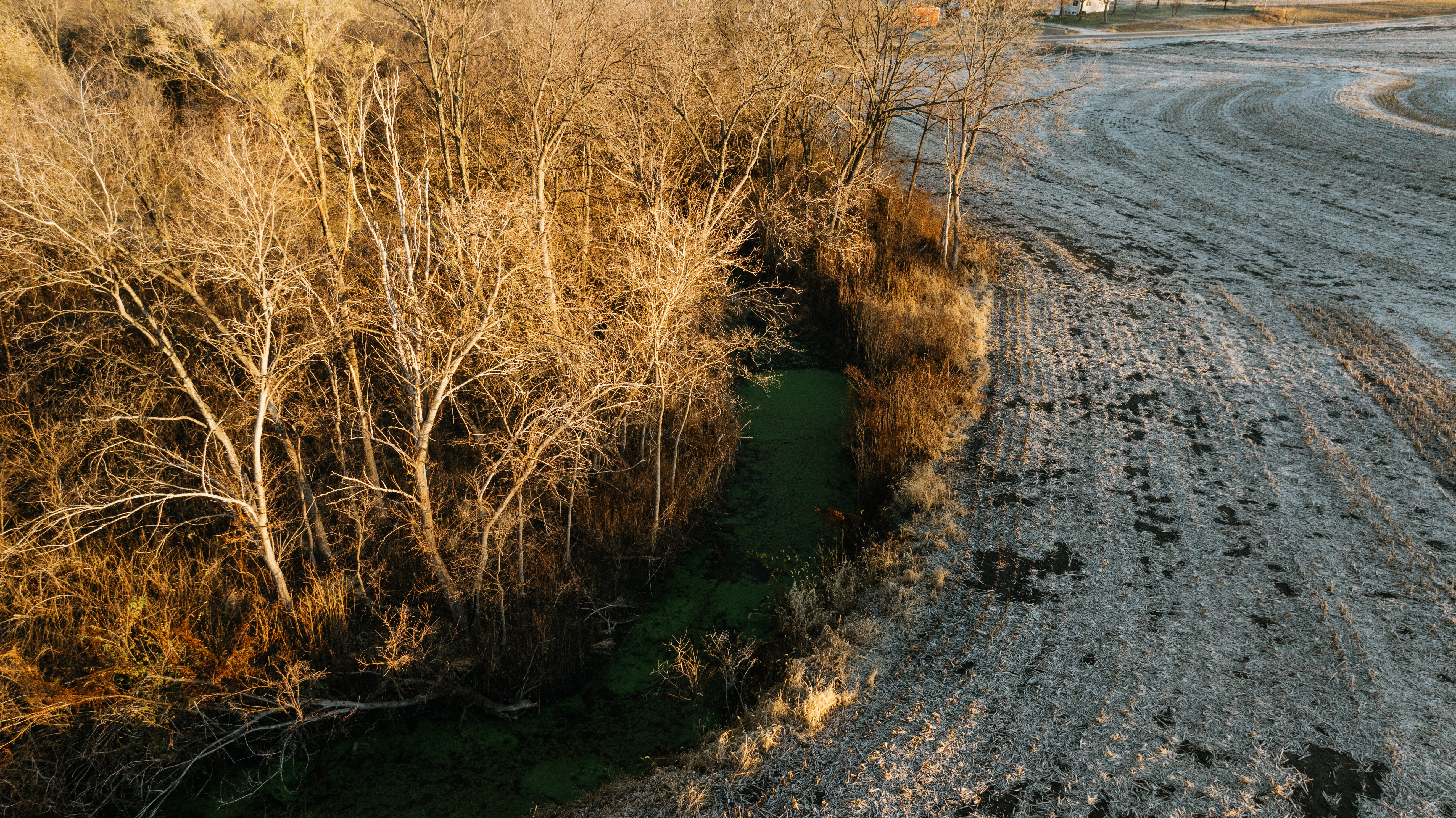 Murray, NE 68409 - image 39