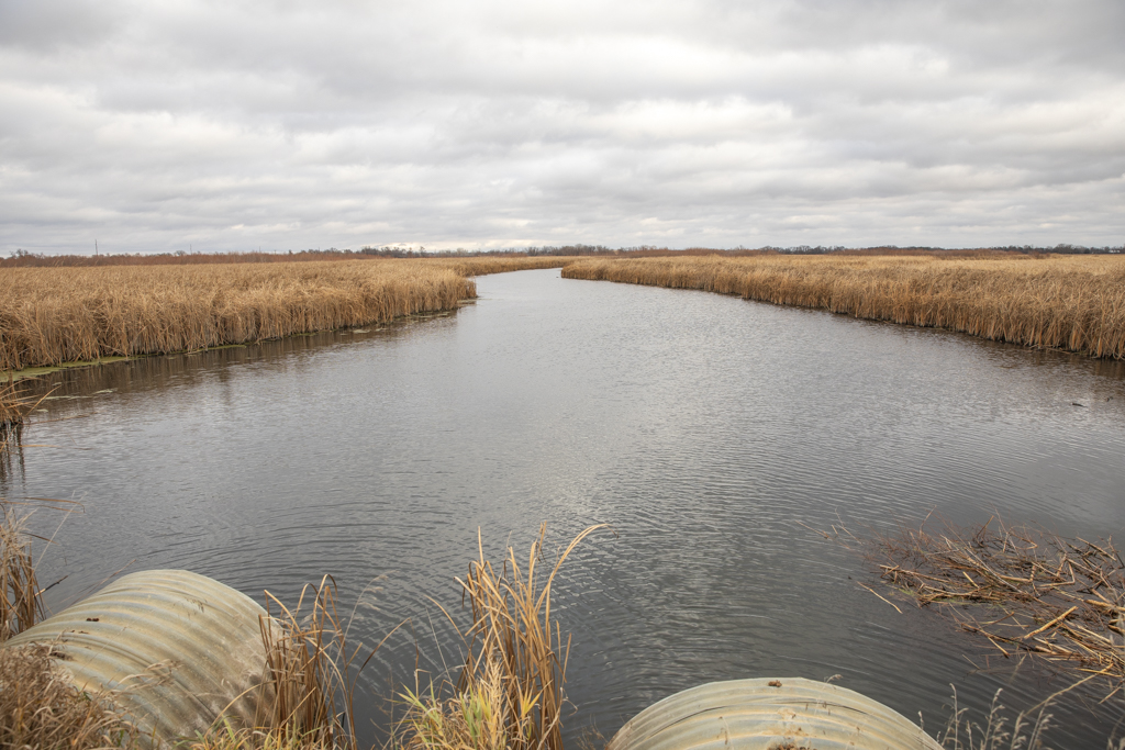 Volga, SD 57071 - image 31