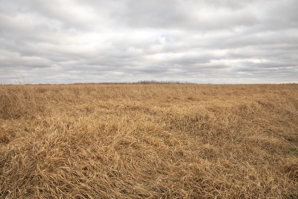 Volga, SD 57071 - image 29