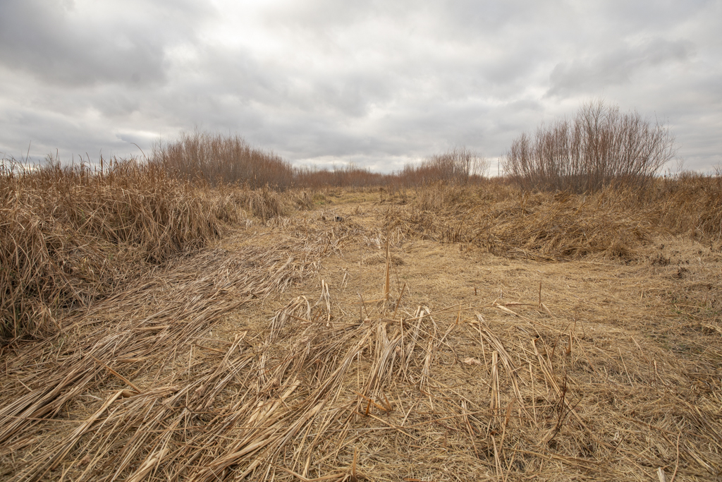 Volga, SD 57071 - image 22