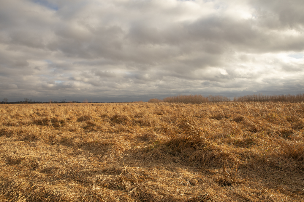 Volga, SD 57071 - image 16