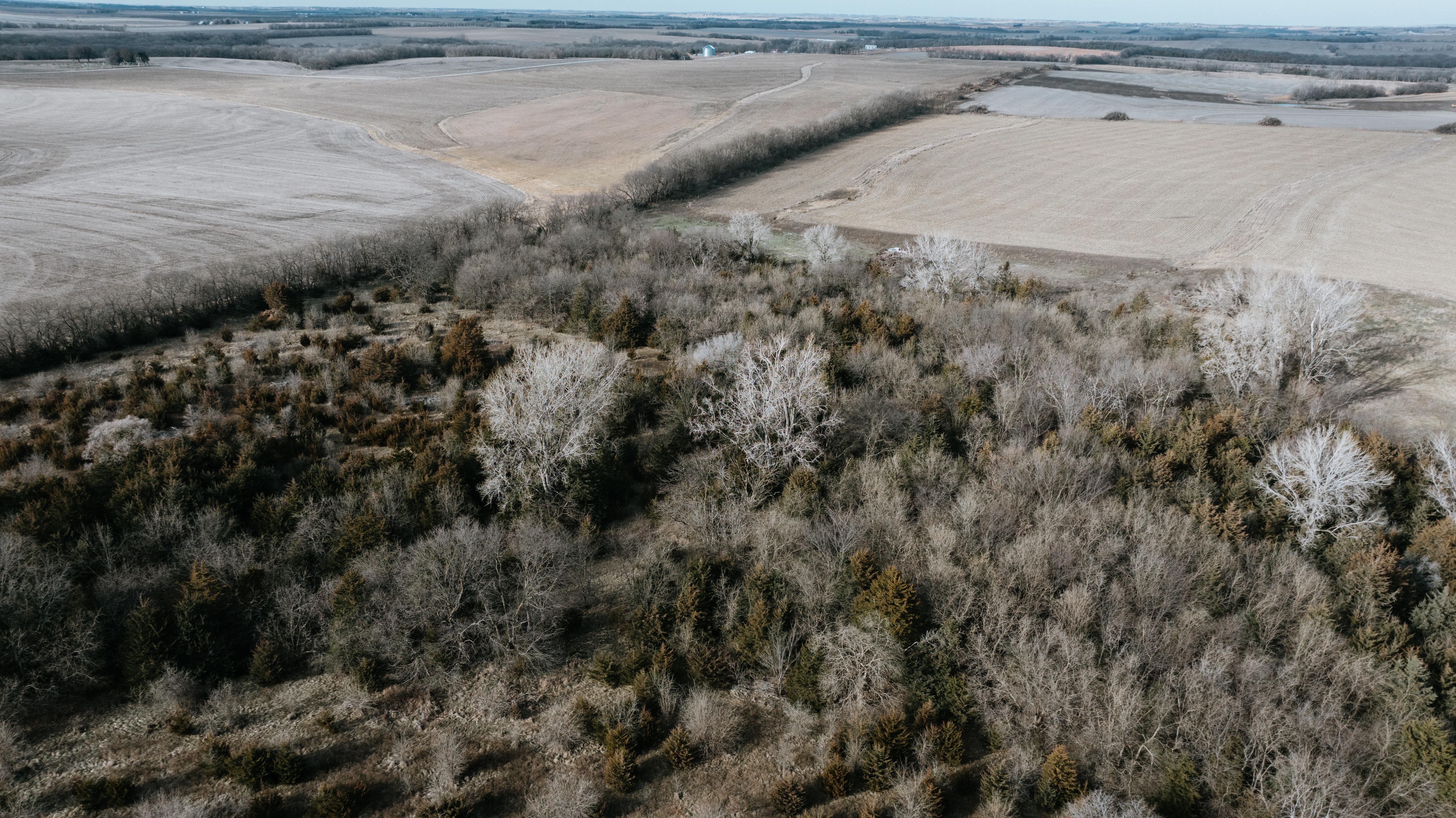 Humboldt, NE 68376 - image 10