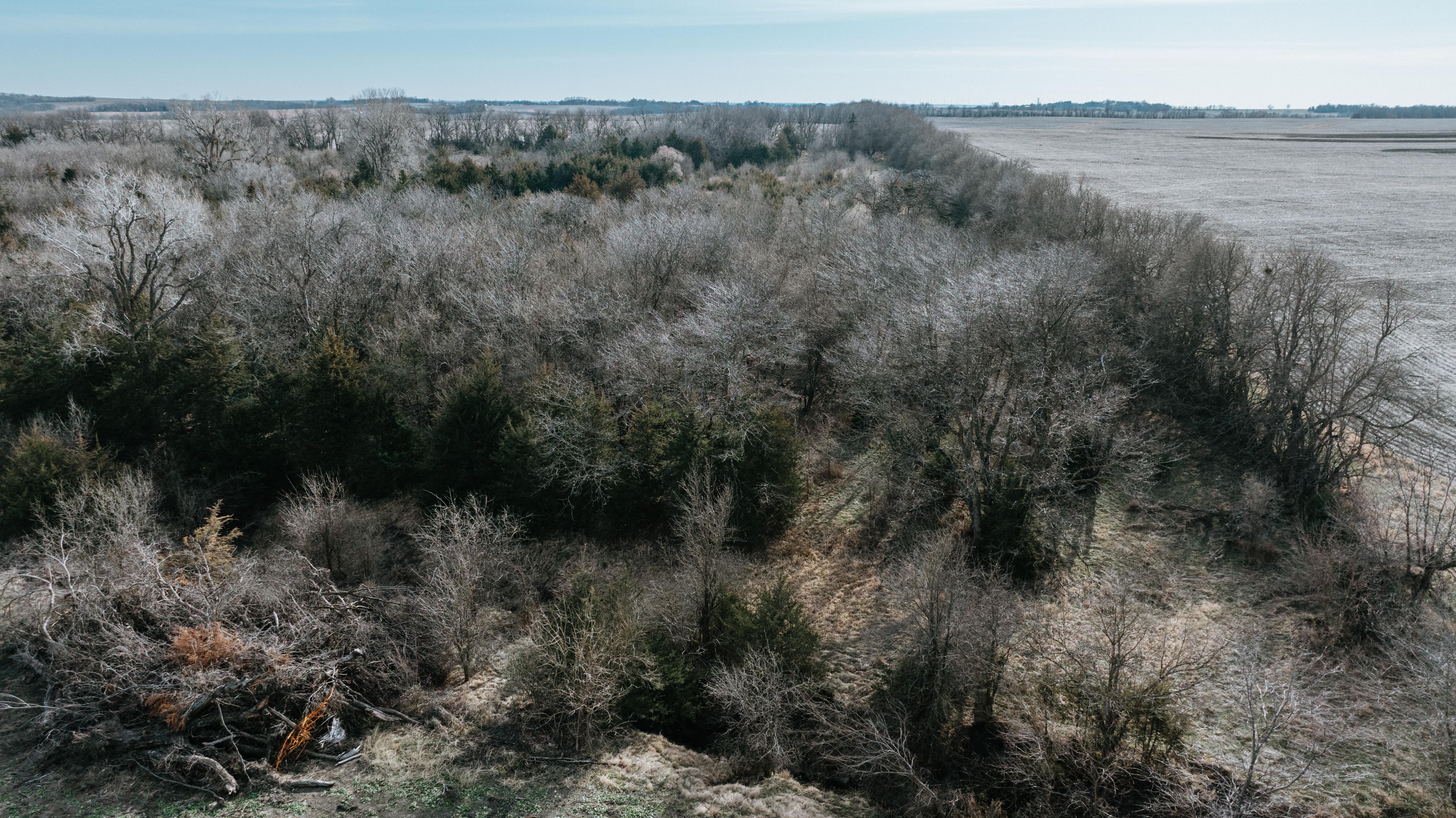 Humboldt, NE 68376 - image 14