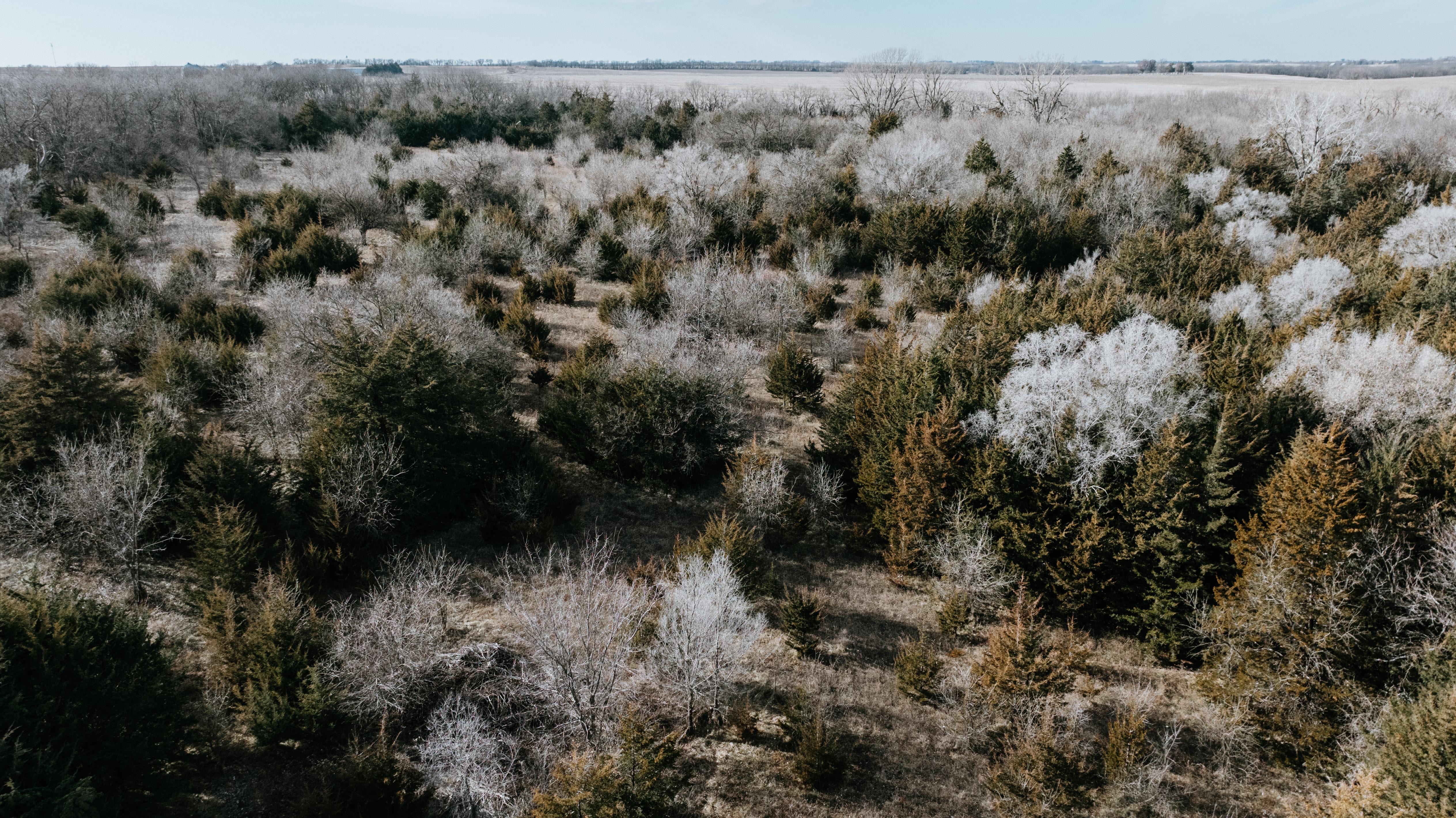 Humboldt, NE 68376 - image 17