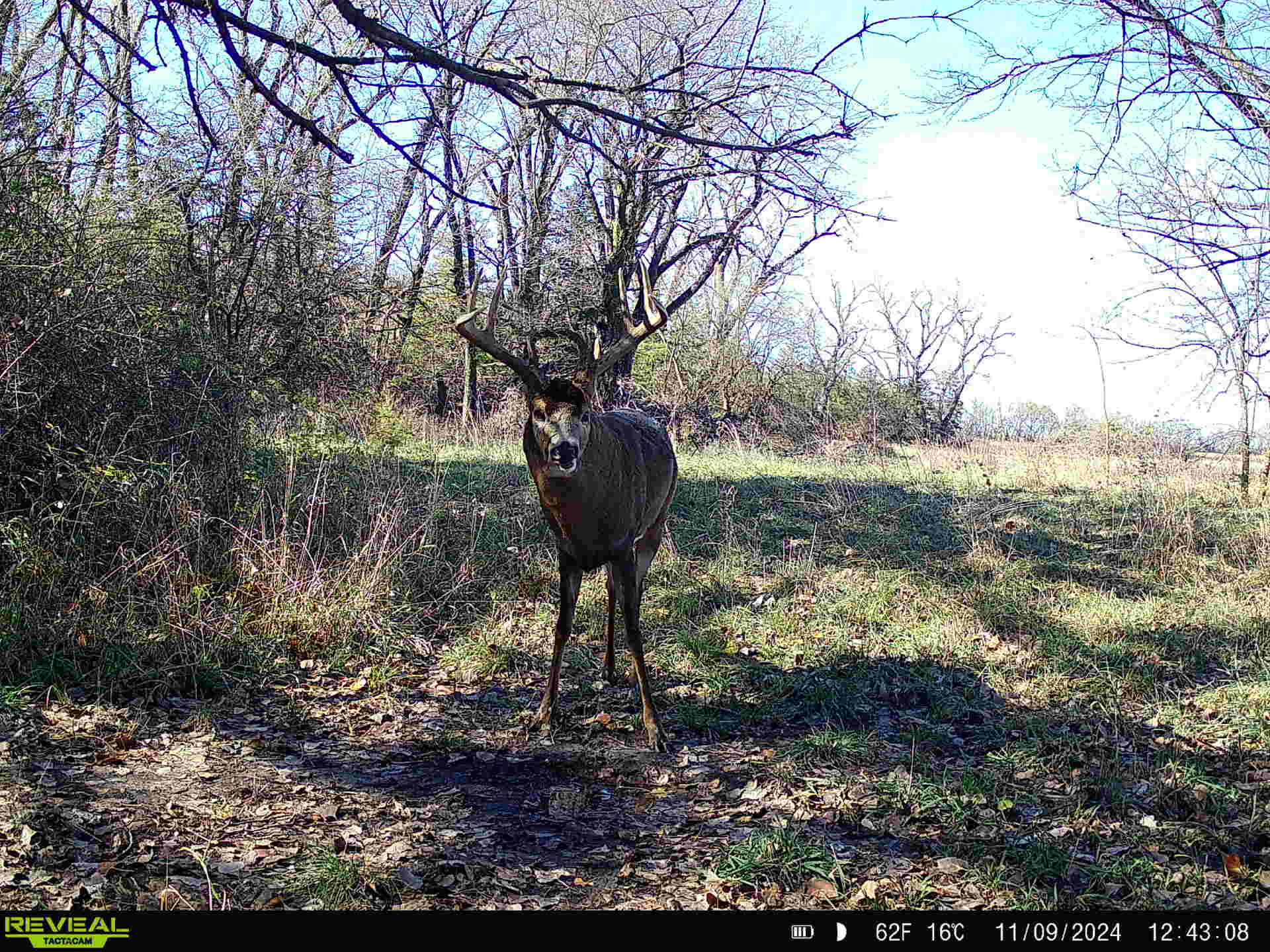 Humboldt, NE 68376 - image 32