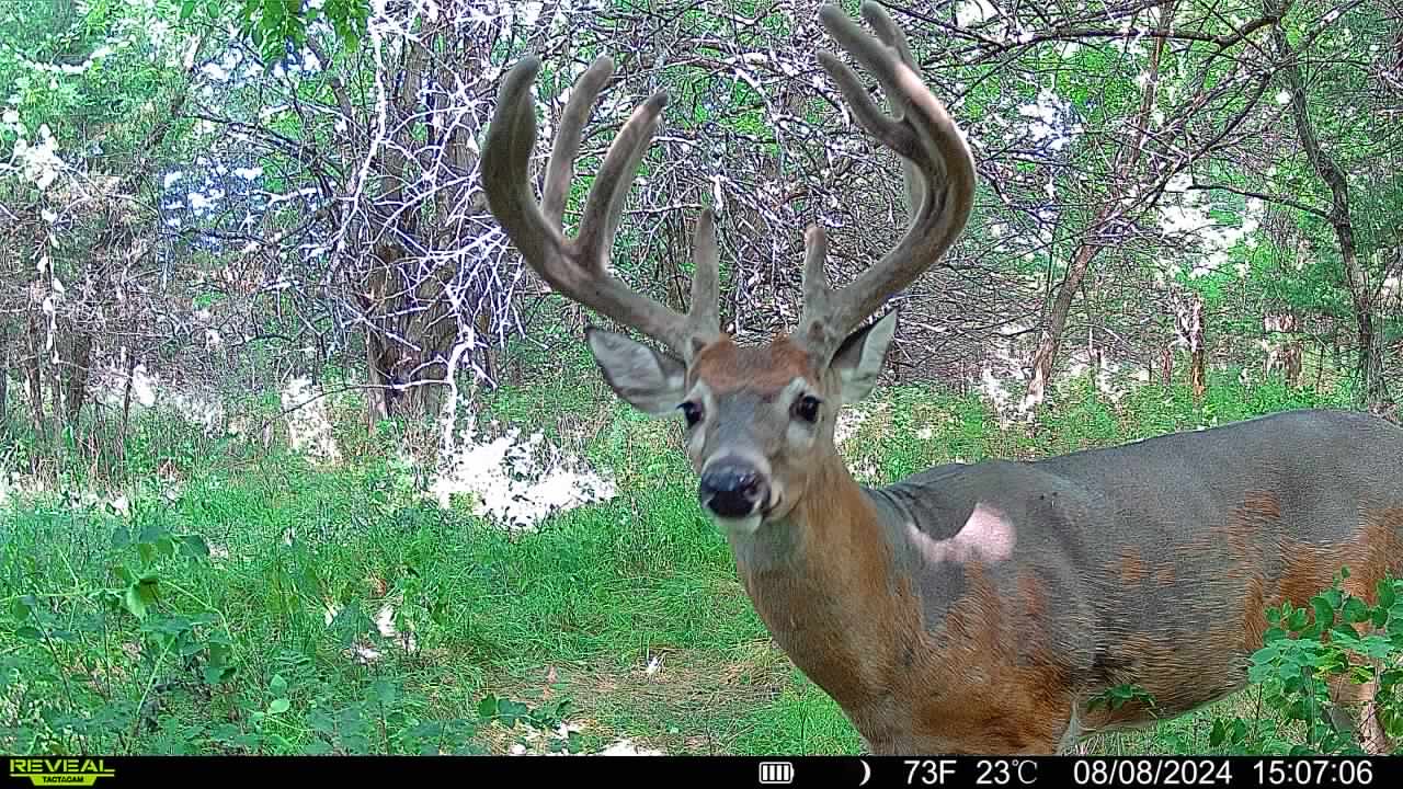 Humboldt, NE 68376 - image 36