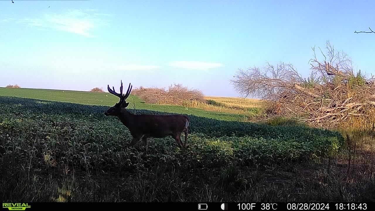 Humboldt, NE 68376 - image 38