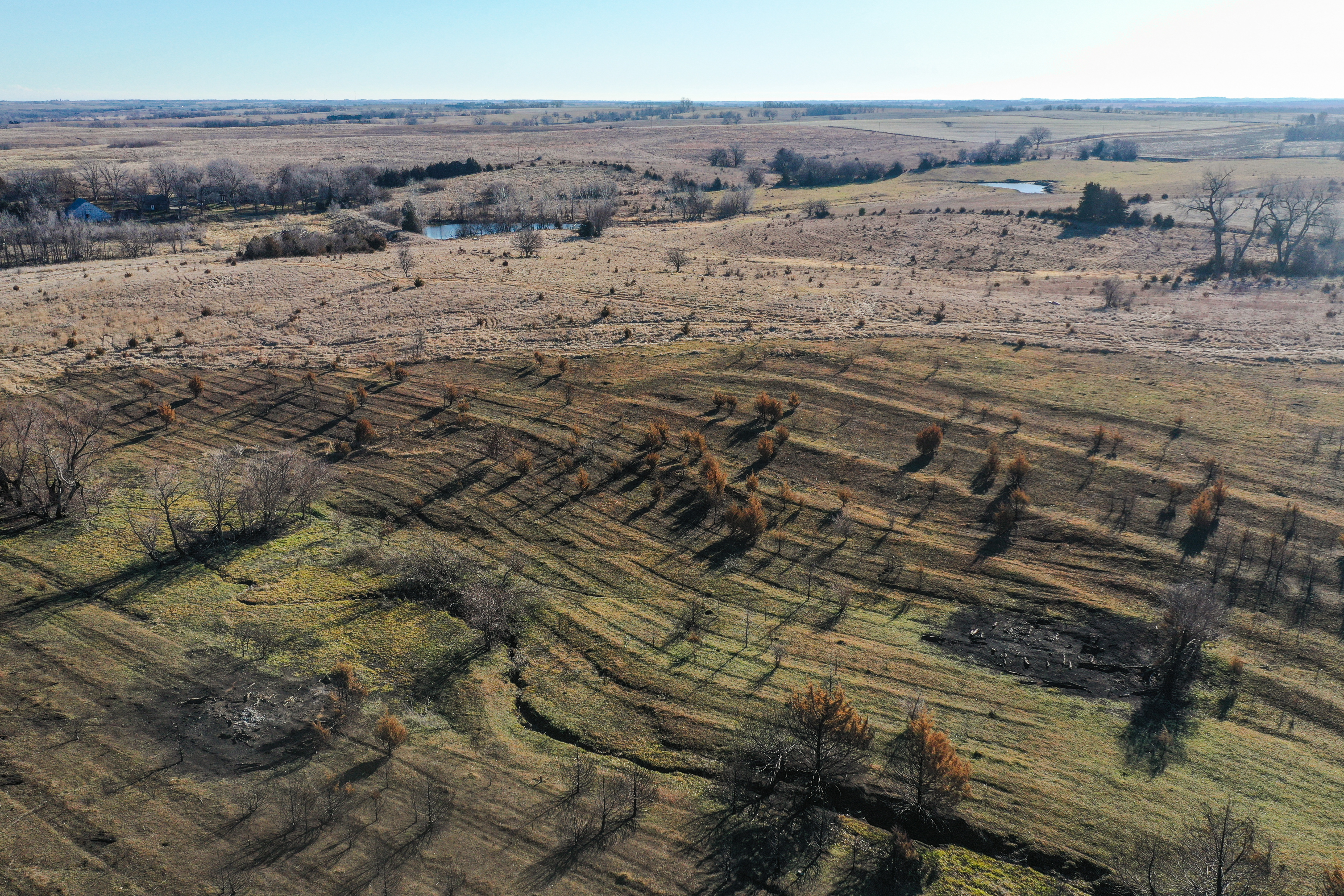 Auburn, NE 68305 - image 13