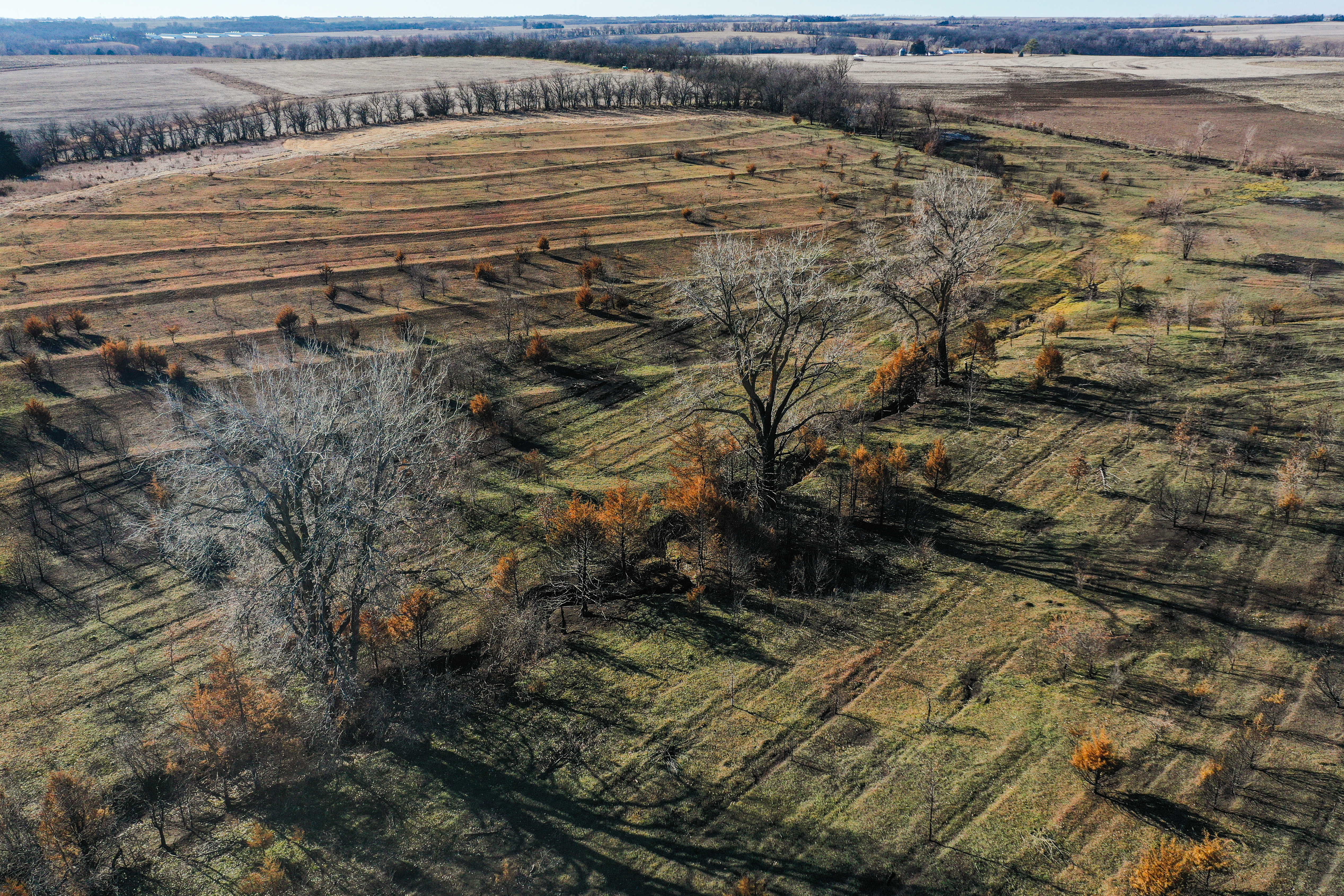 Auburn, NE 68305 - image 12