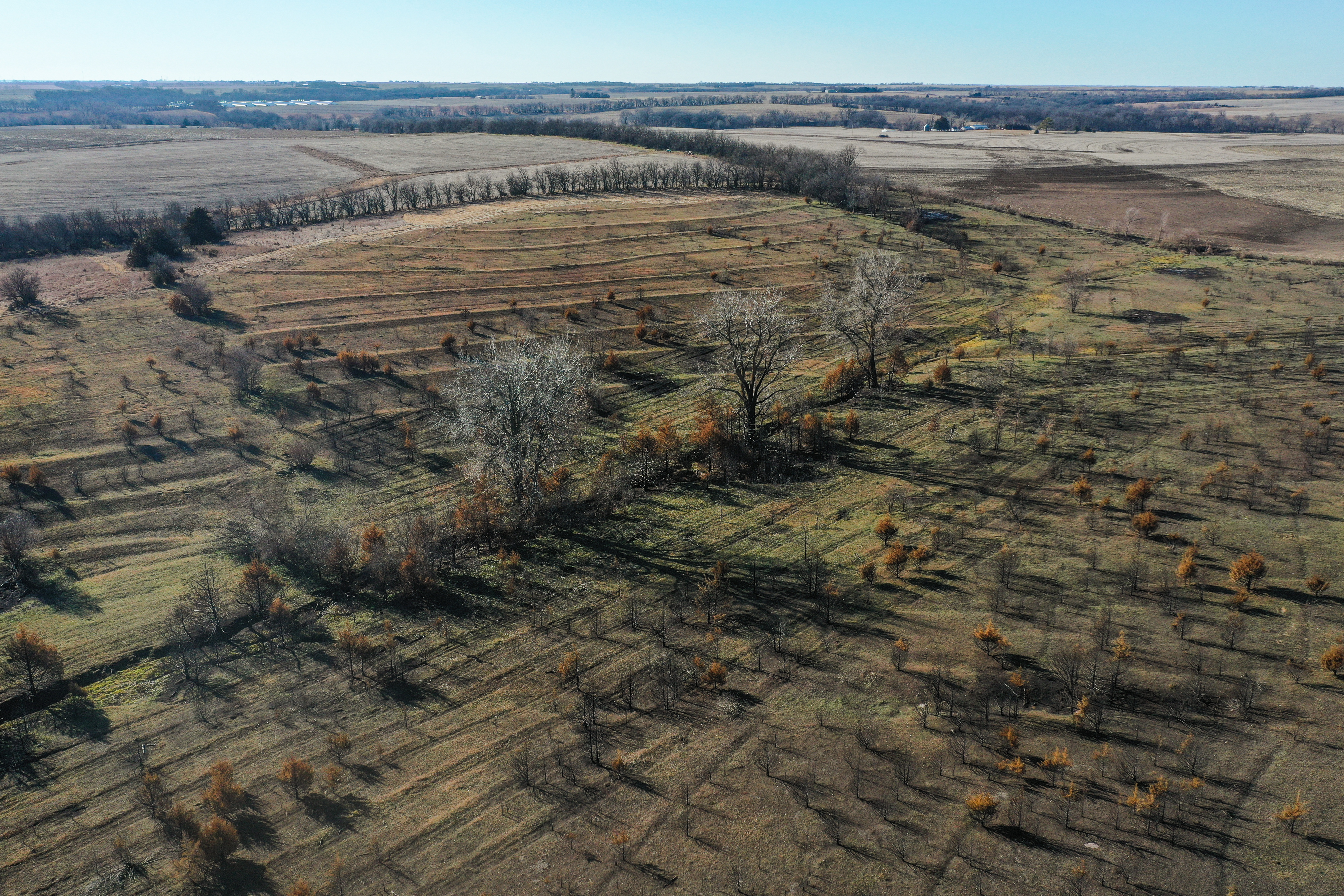 Auburn, NE 68305 - image 11