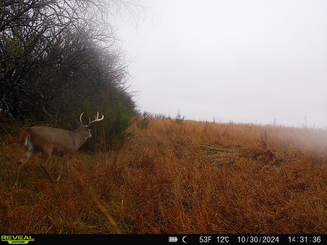 Auburn, NE 68305 - image 34