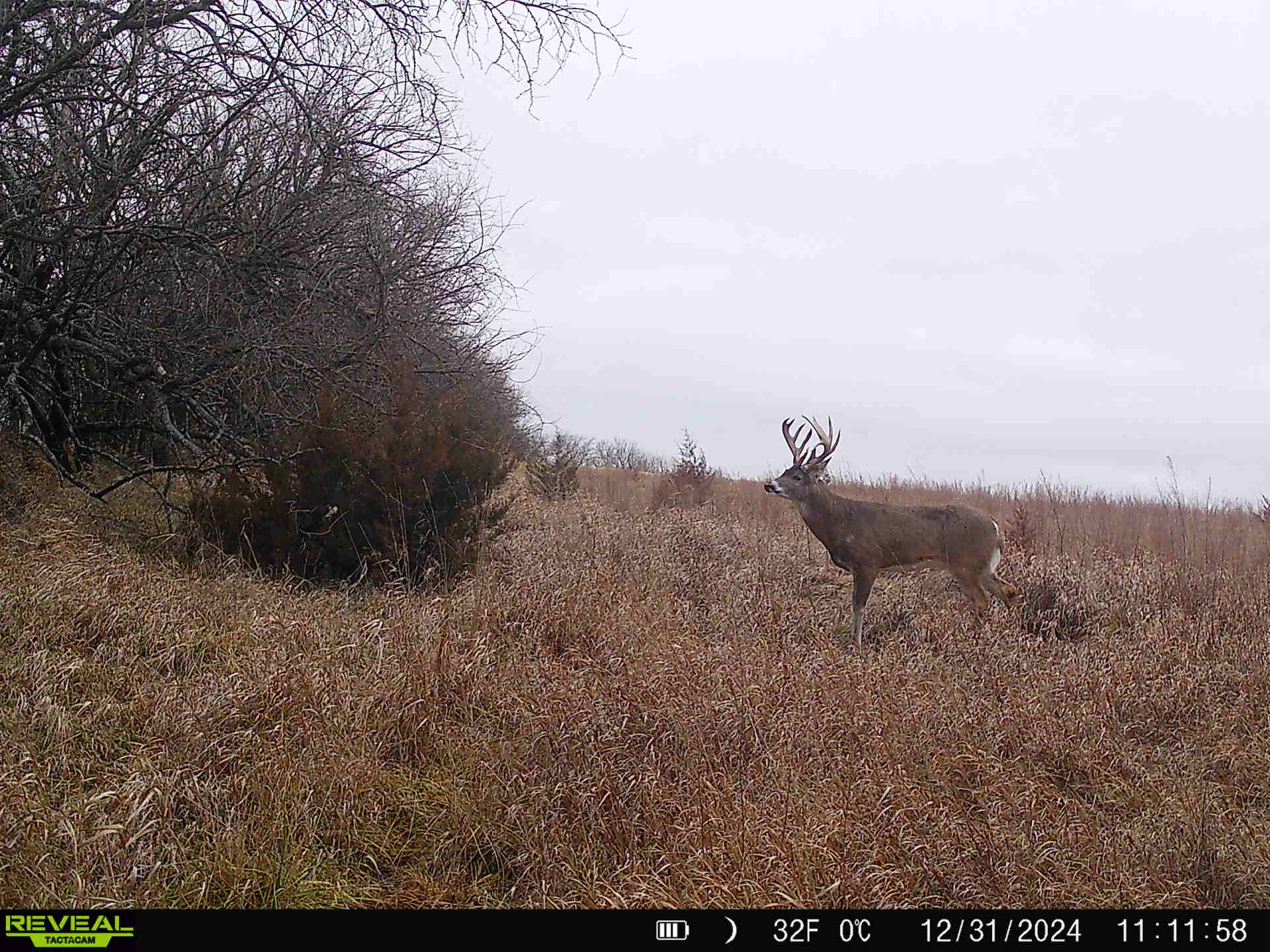 Auburn, NE 68305 - image 35