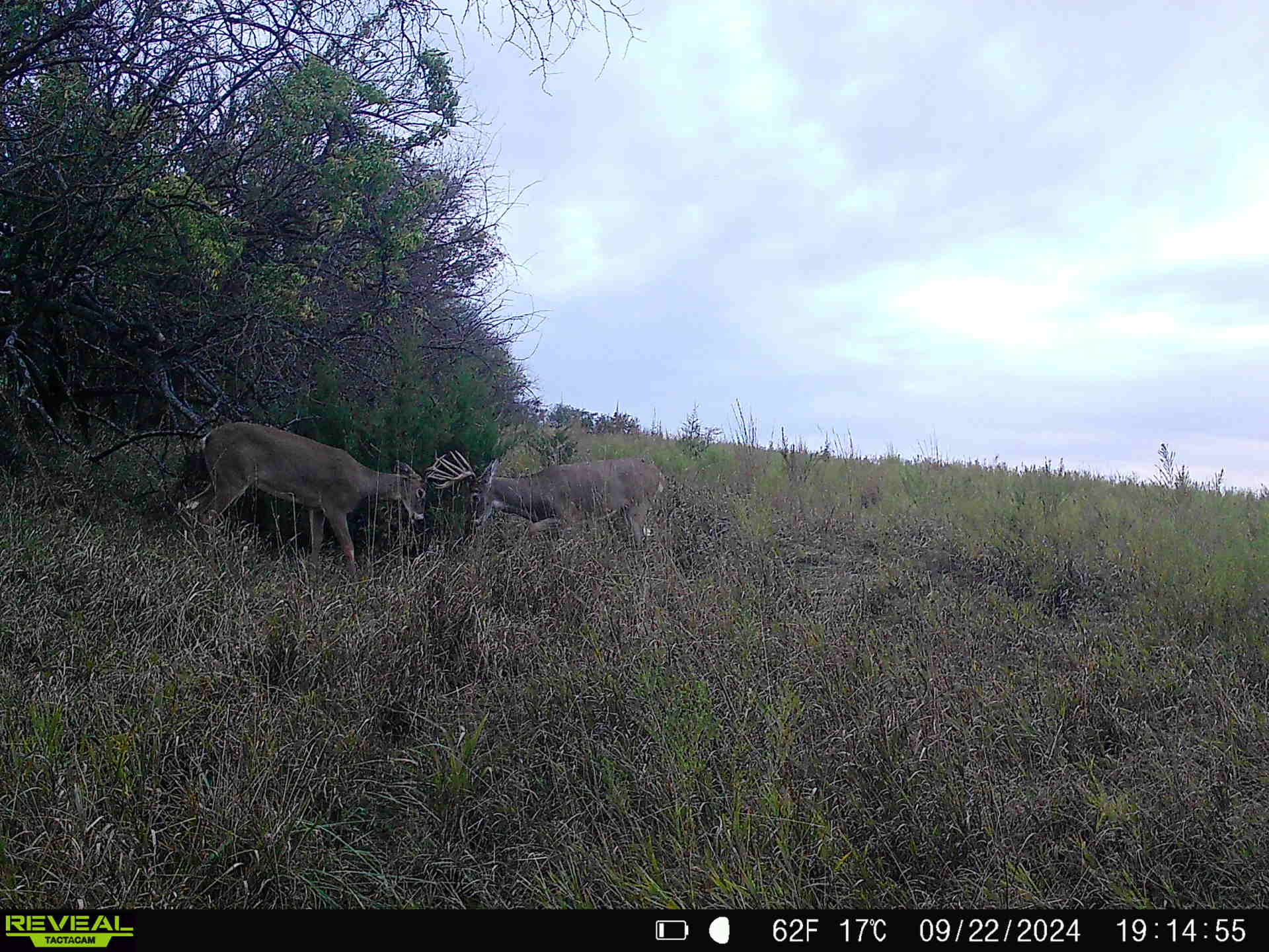 Auburn, NE 68305 - image 33