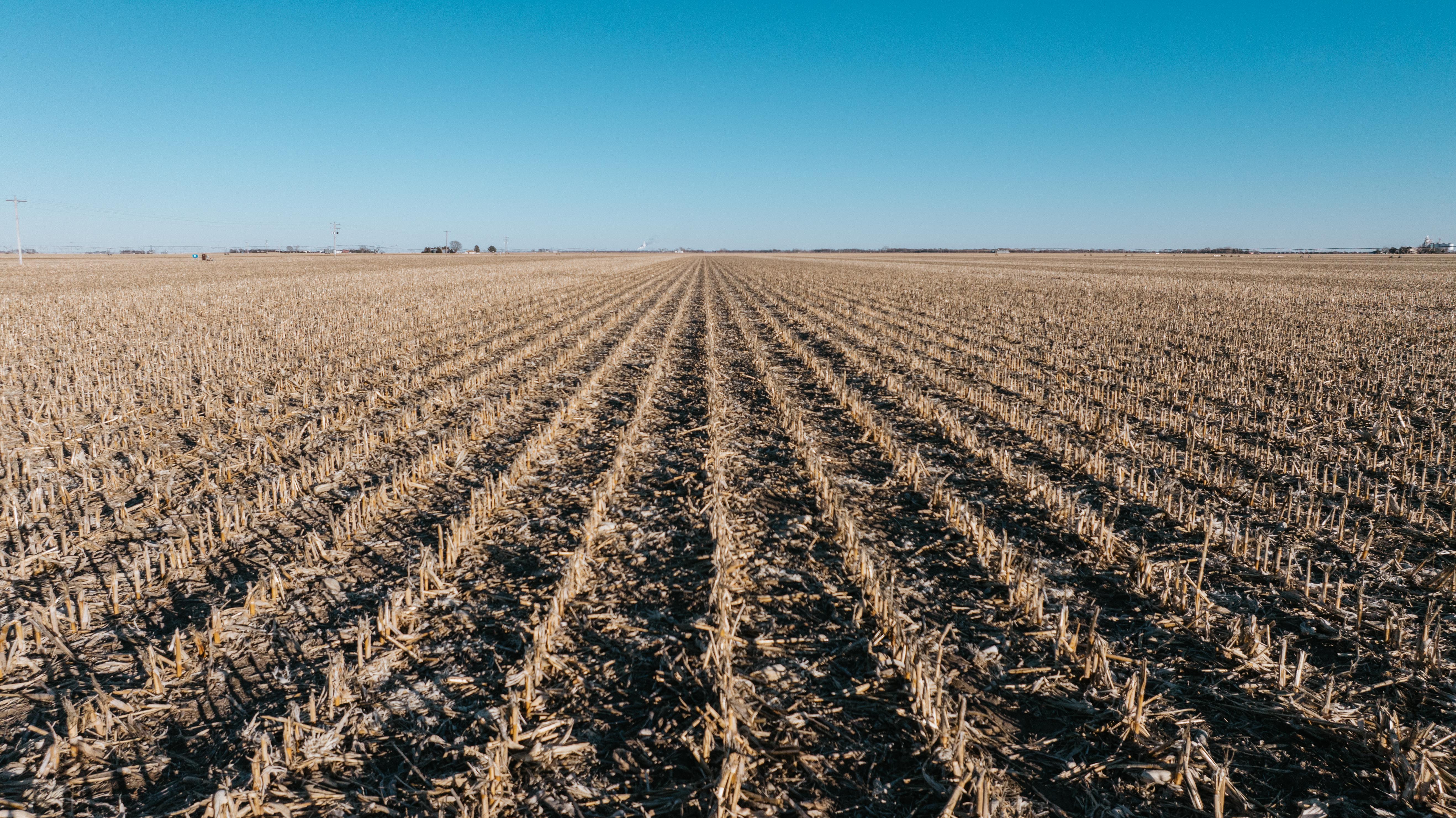 Shelton, NE 68876 - image 9