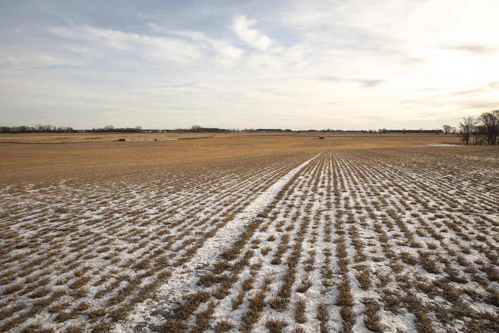 Wolsey, SD 57384 - image 41