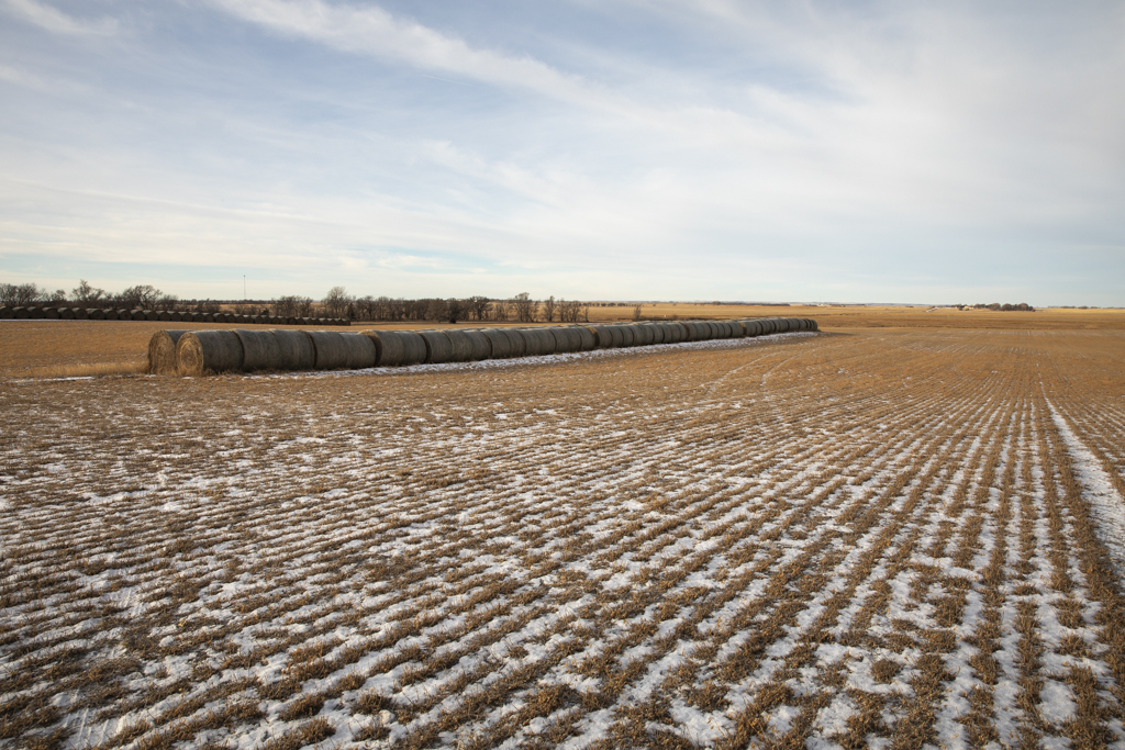 Wolsey, SD 57384 - image 40