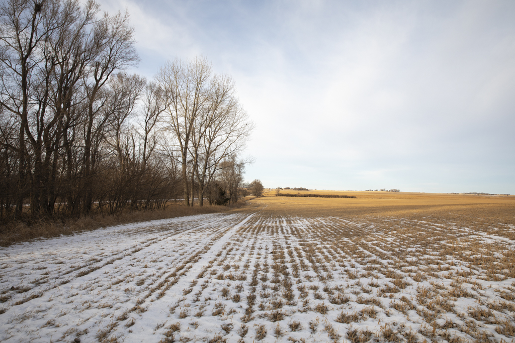 Wolsey, SD 57384 - image 39