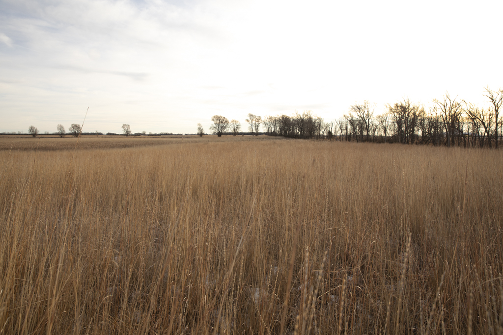 Wolsey, SD 57384 - image 35