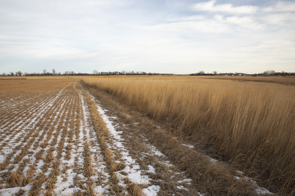 Wolsey, SD 57384 - image 34