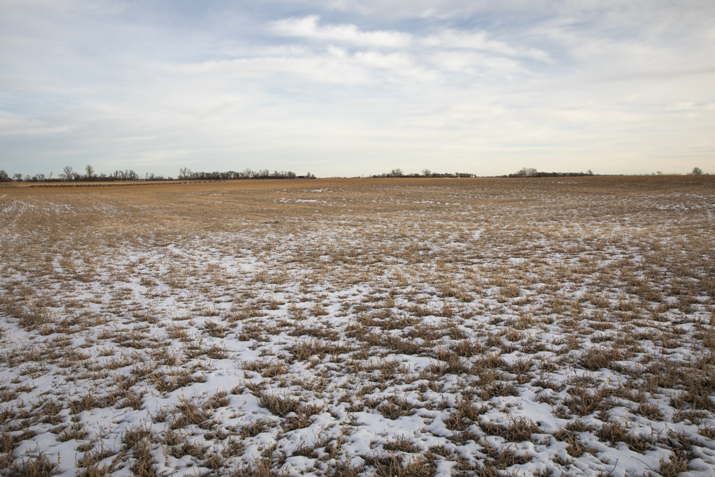 Wolsey, SD 57384 - image 32