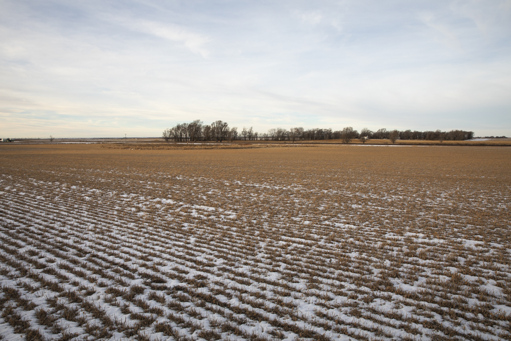 Wolsey, SD 57384 - image 31