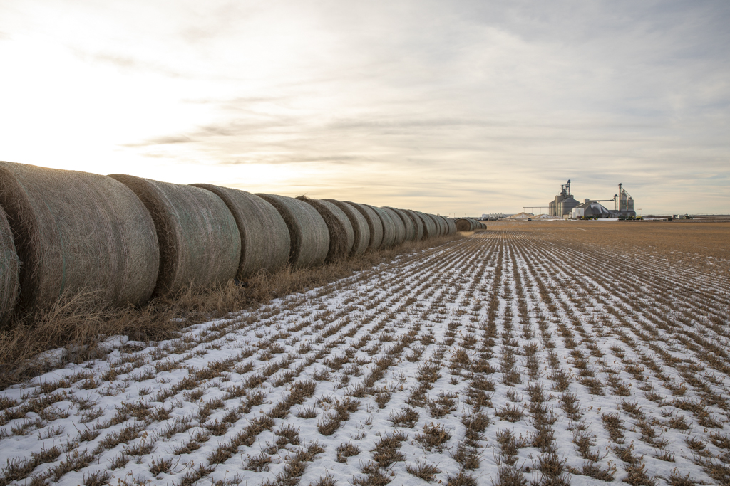 Wolsey, SD 57384 - image 30