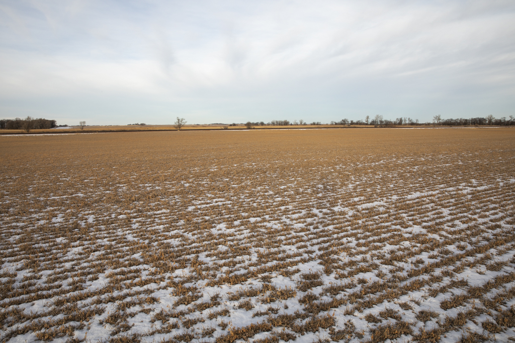 Wolsey, SD 57384 - image 28