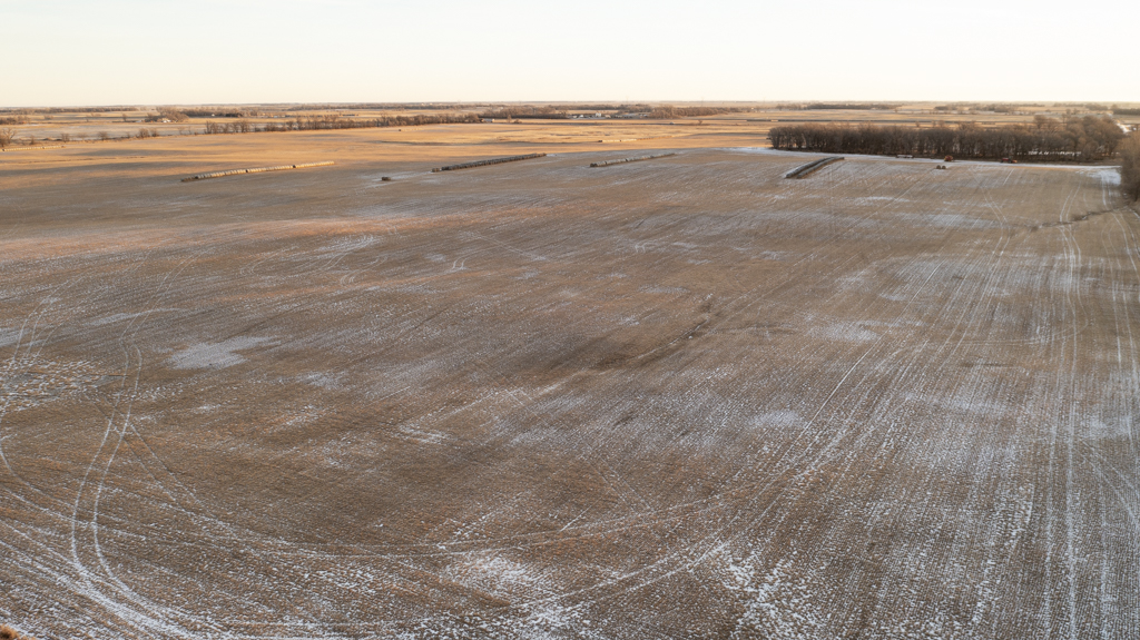 Wolsey, SD 57384 - image 16