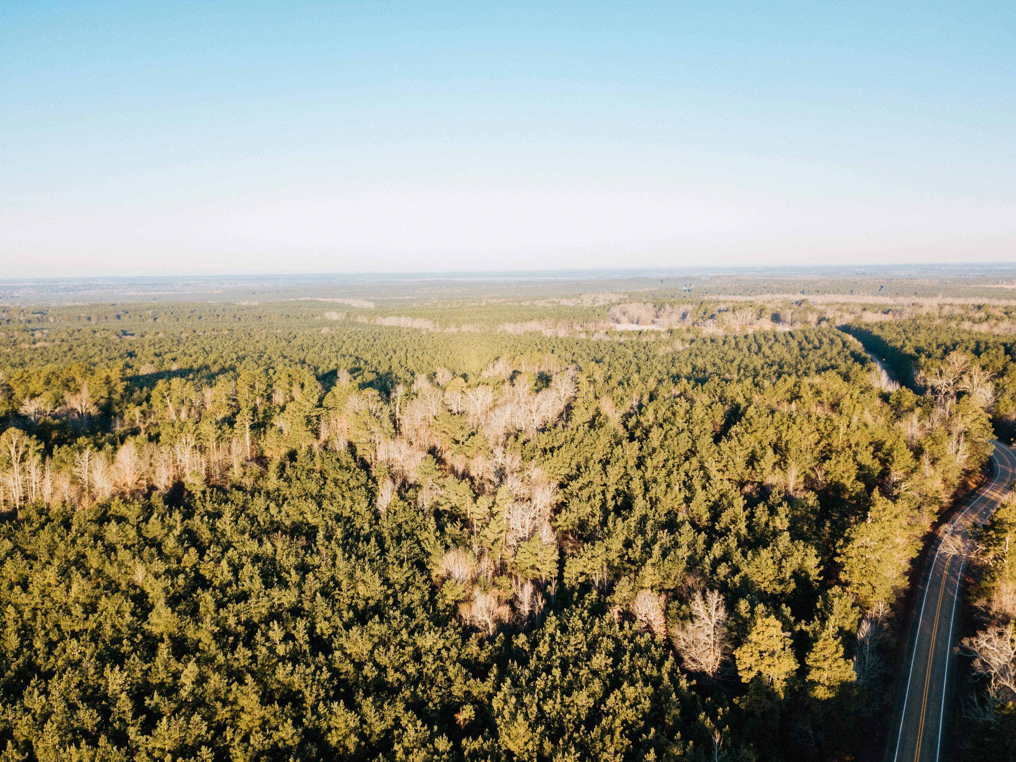 Fordyce, AR 71742 - image 9