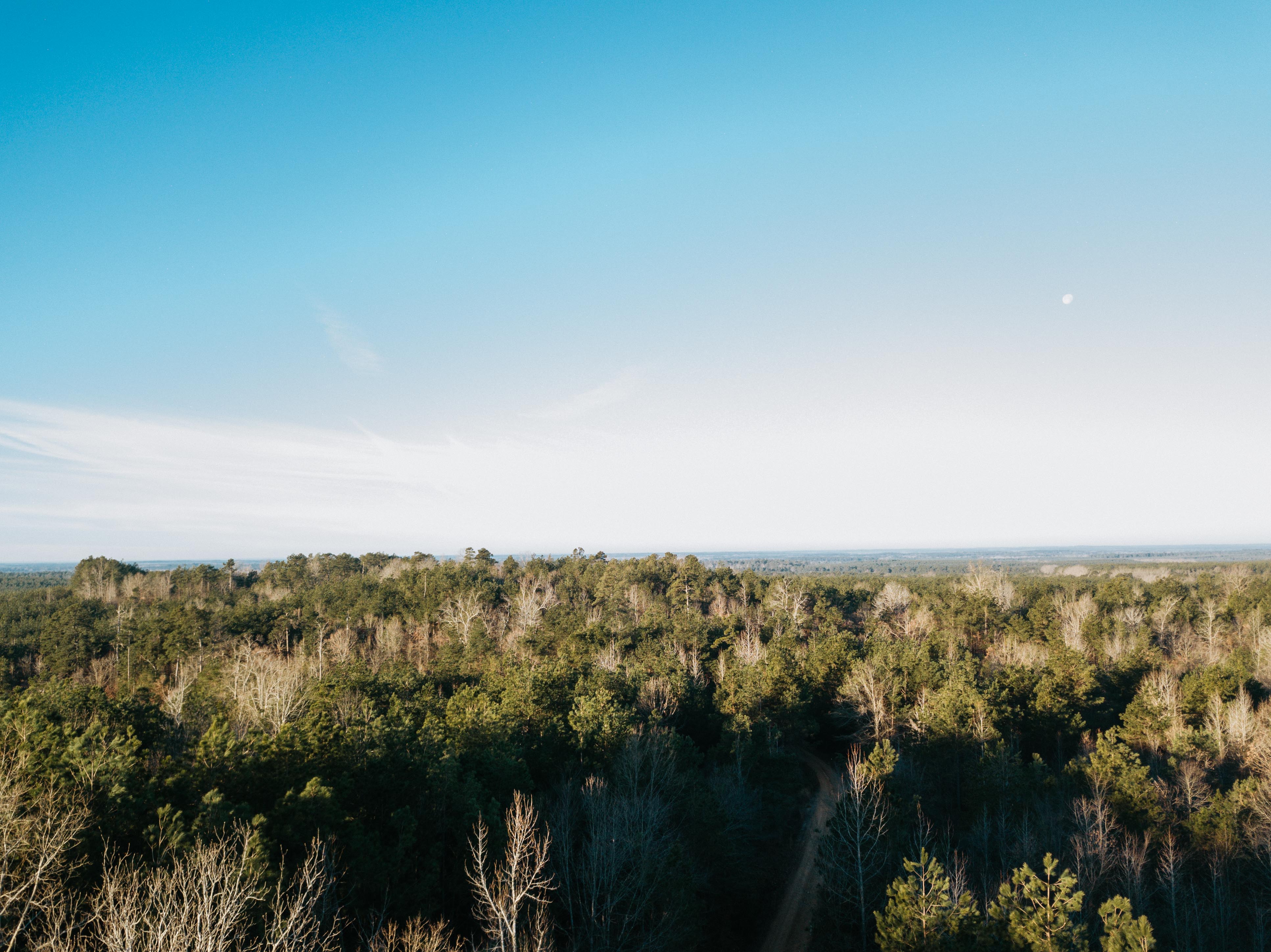 Fordyce, AR 71742 - image 11