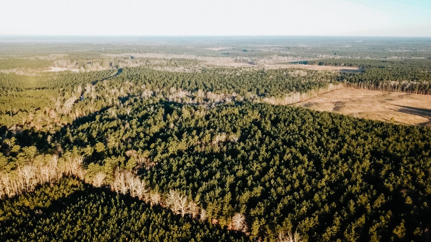 Fordyce, AR 71742 - image 7