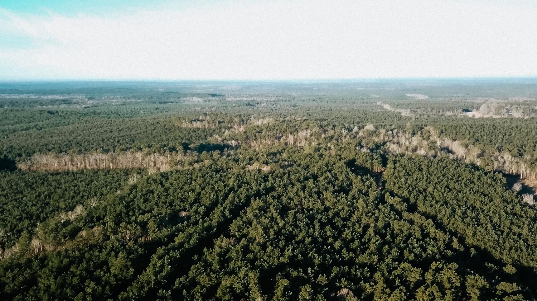 Fordyce, AR 71742 - image 3