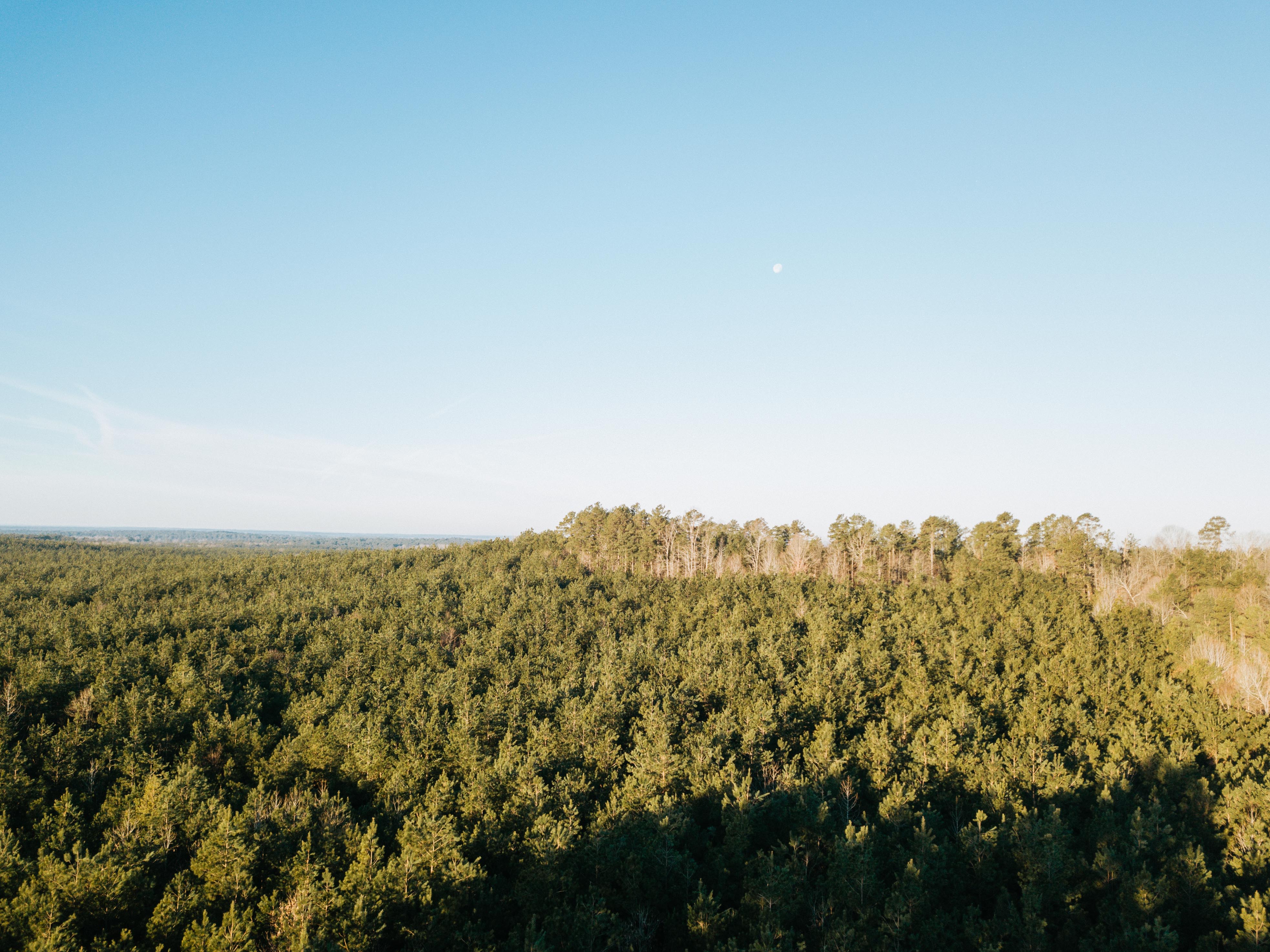 Fordyce, AR 71742 - image 17