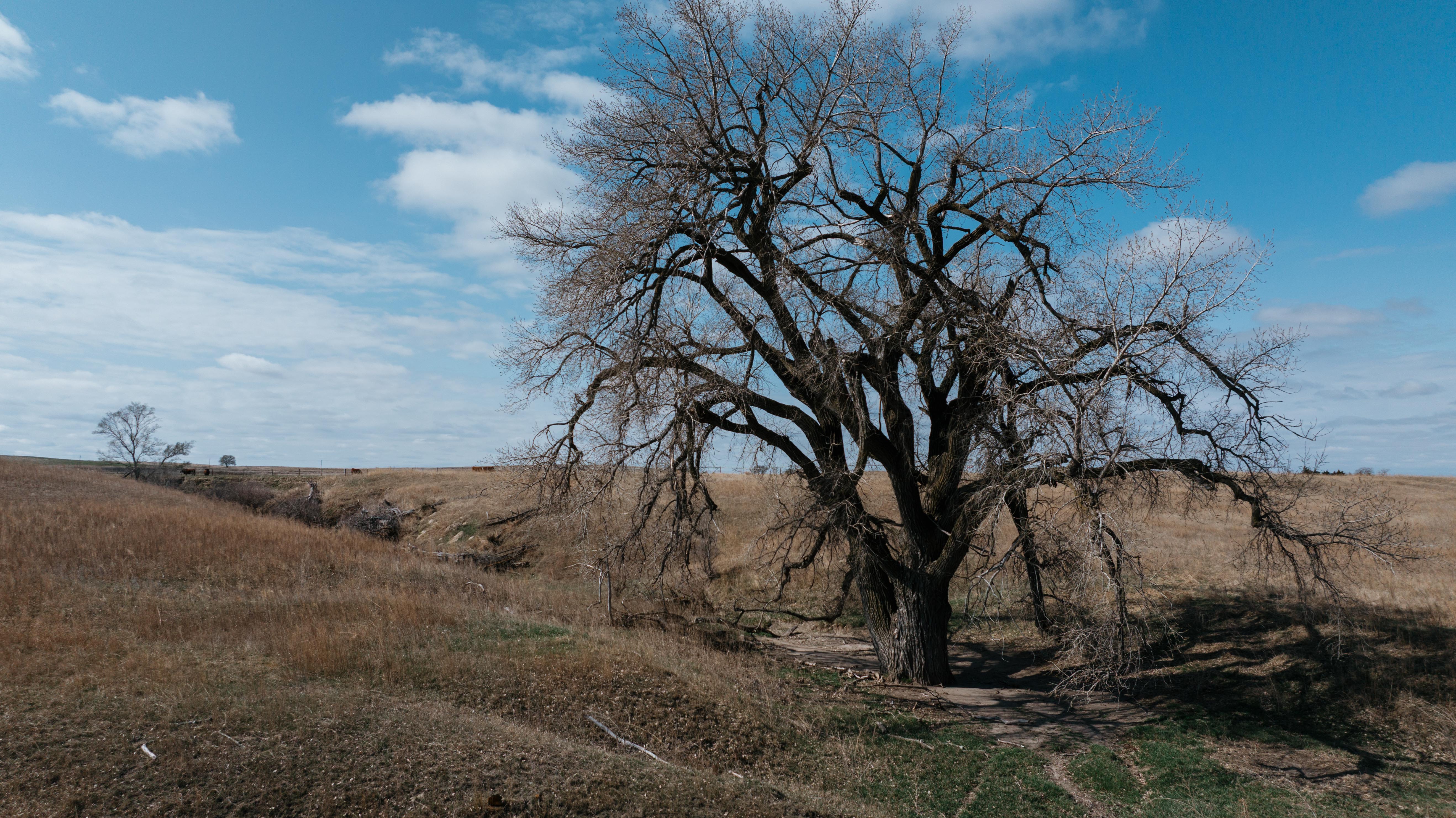 Pleasanton, NE 68866 - image 38