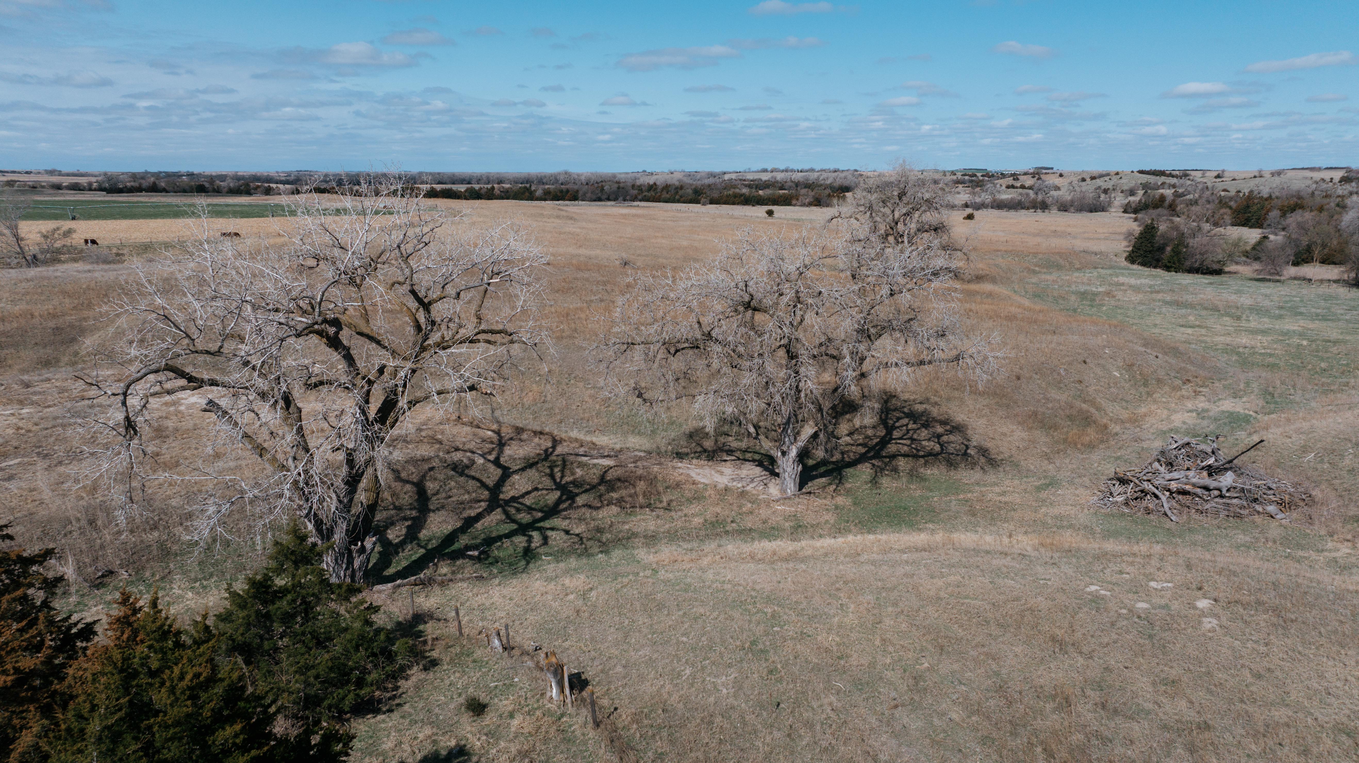Pleasanton, NE 68866 - image 37