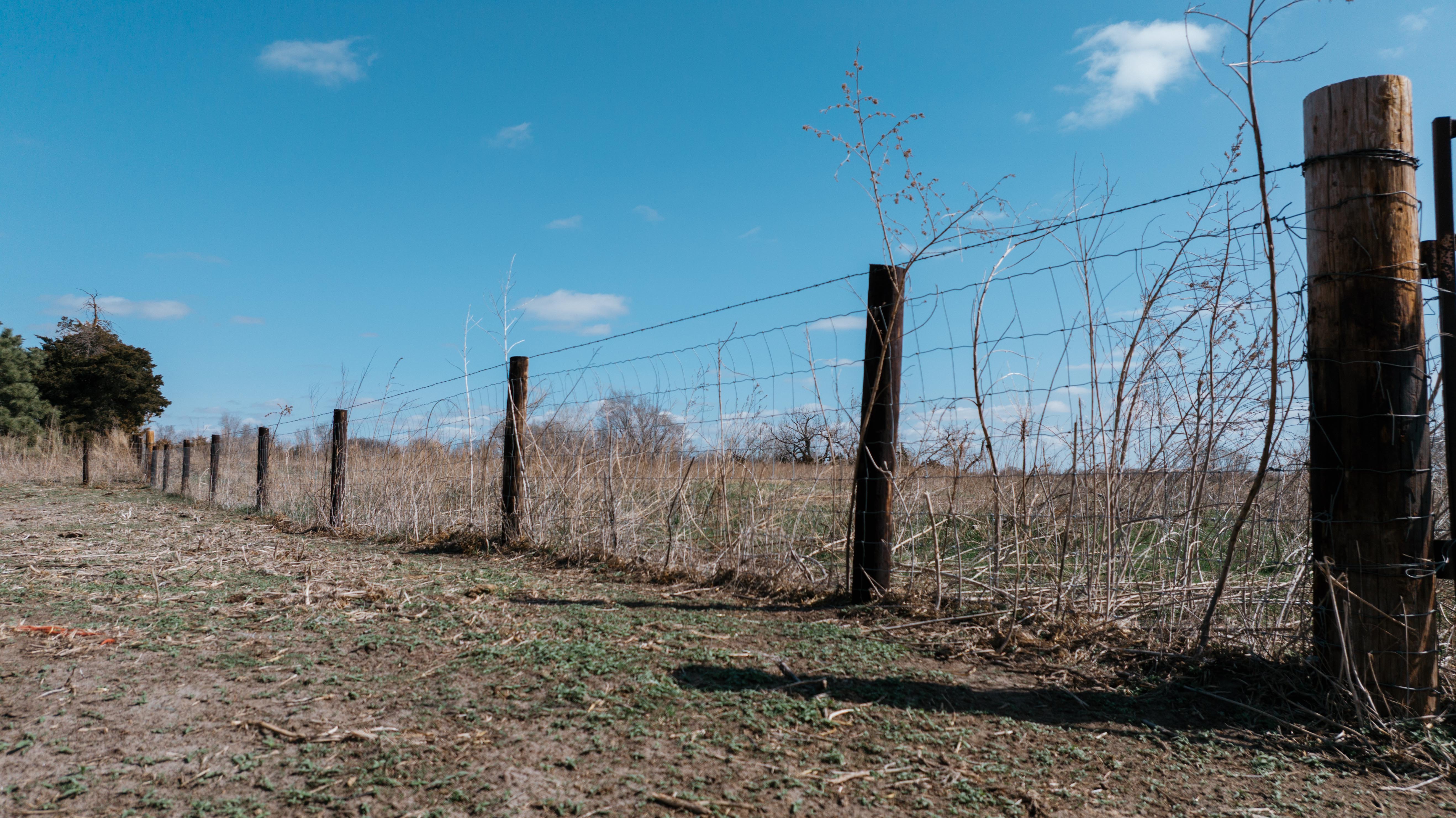 Pleasanton, NE 68866 - image 36