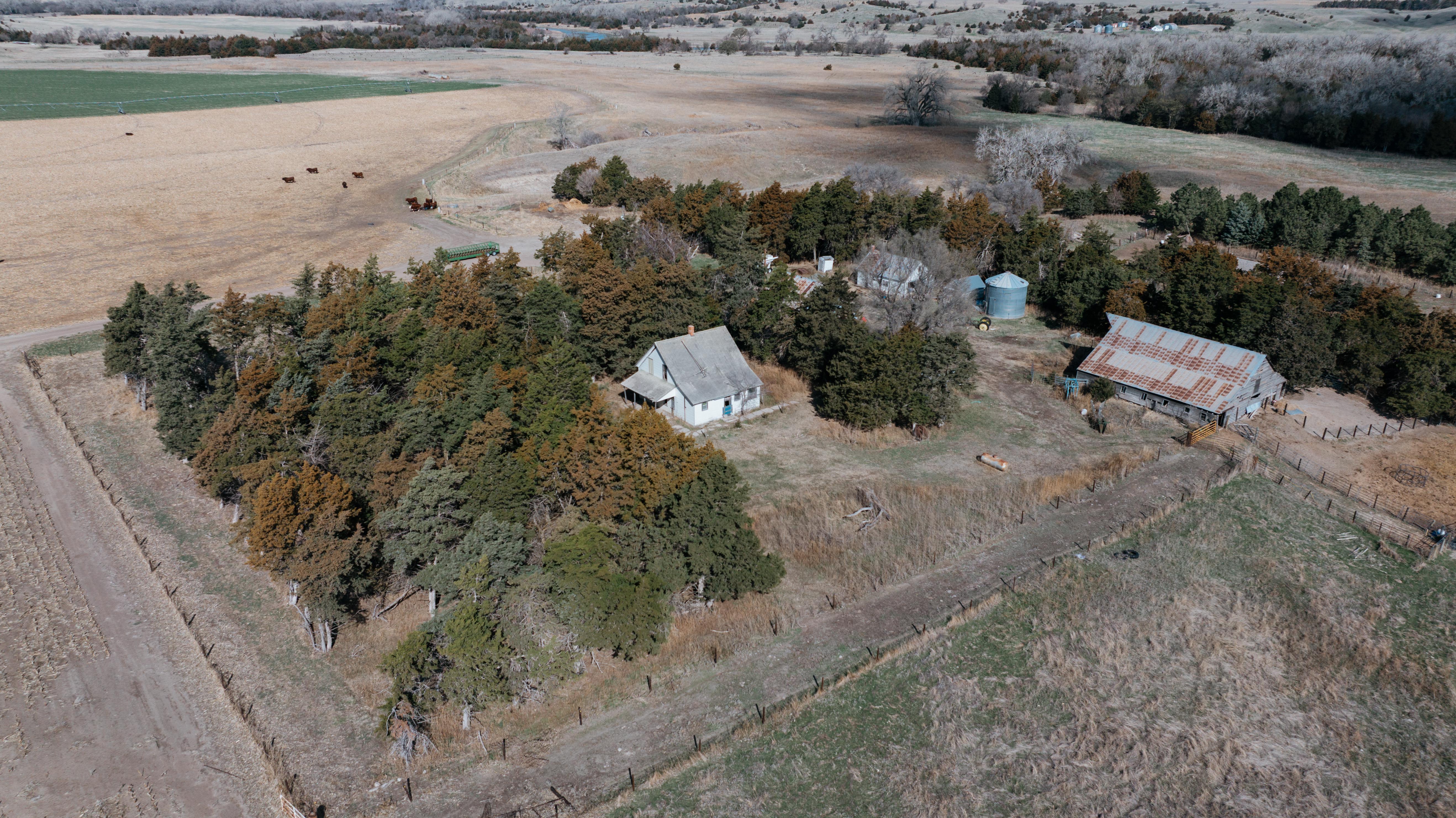 Pleasanton, NE 68866 - image 25