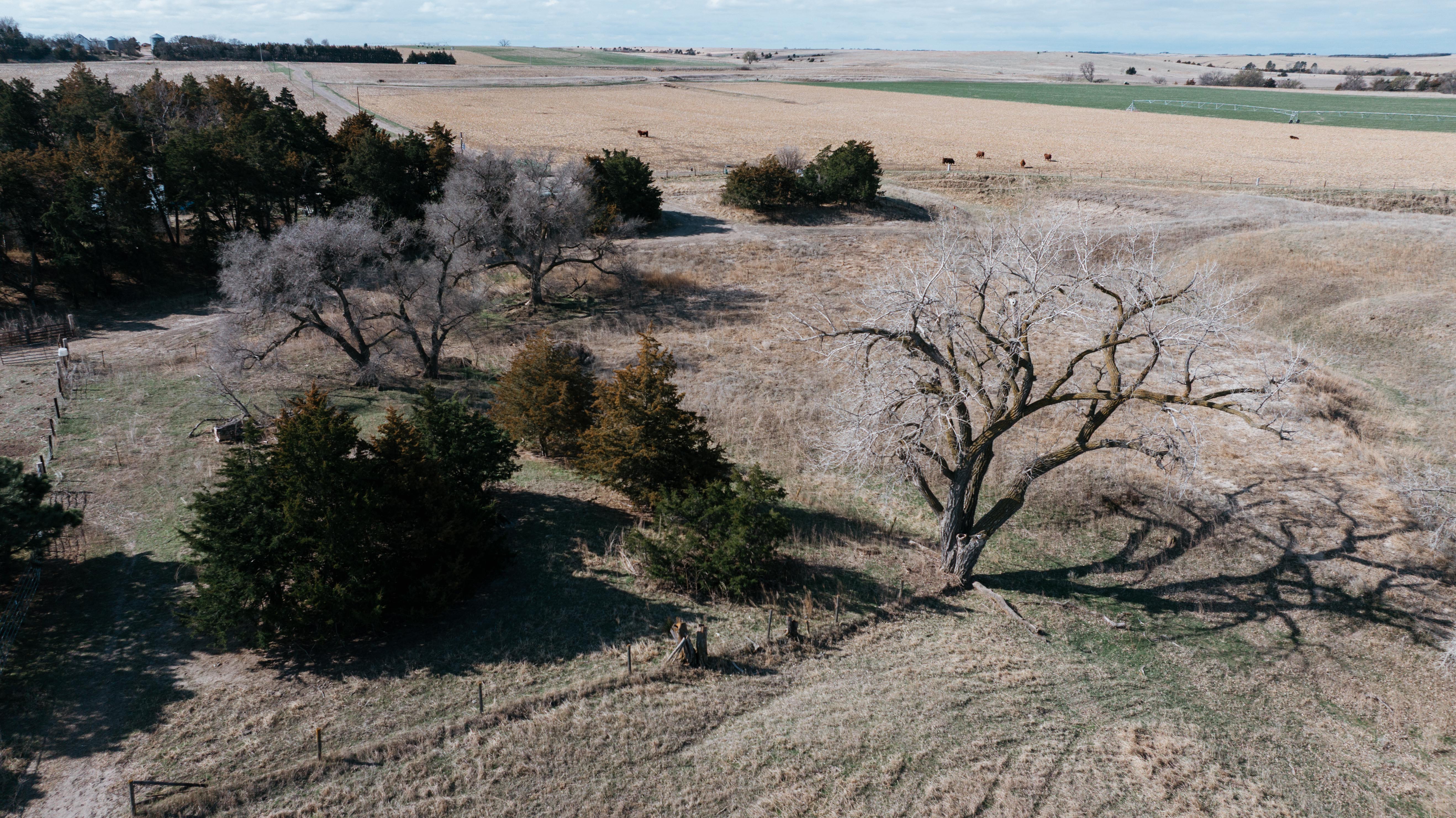 Pleasanton, NE 68866 - image 21