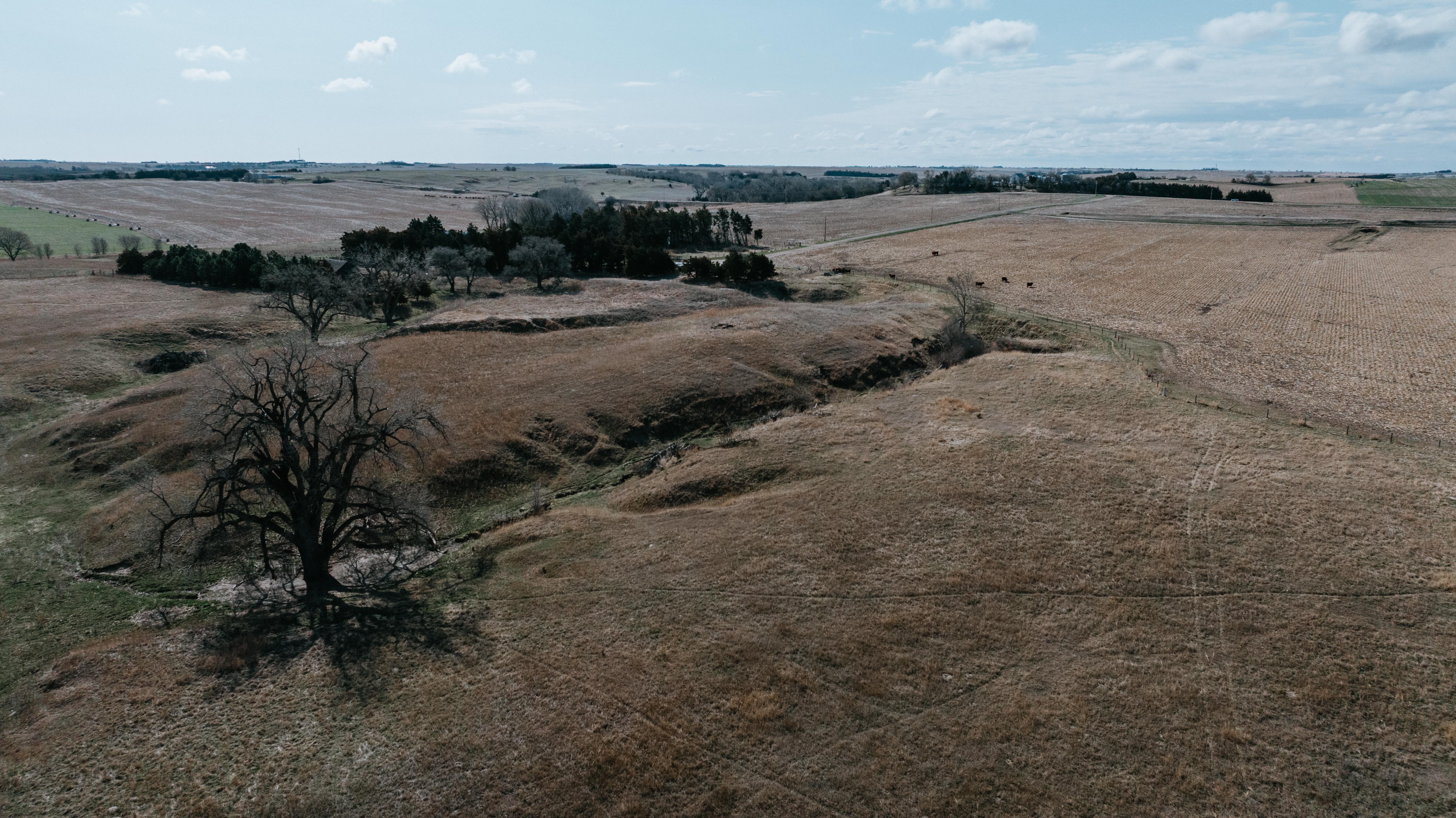 Pleasanton, NE 68866 - image 19