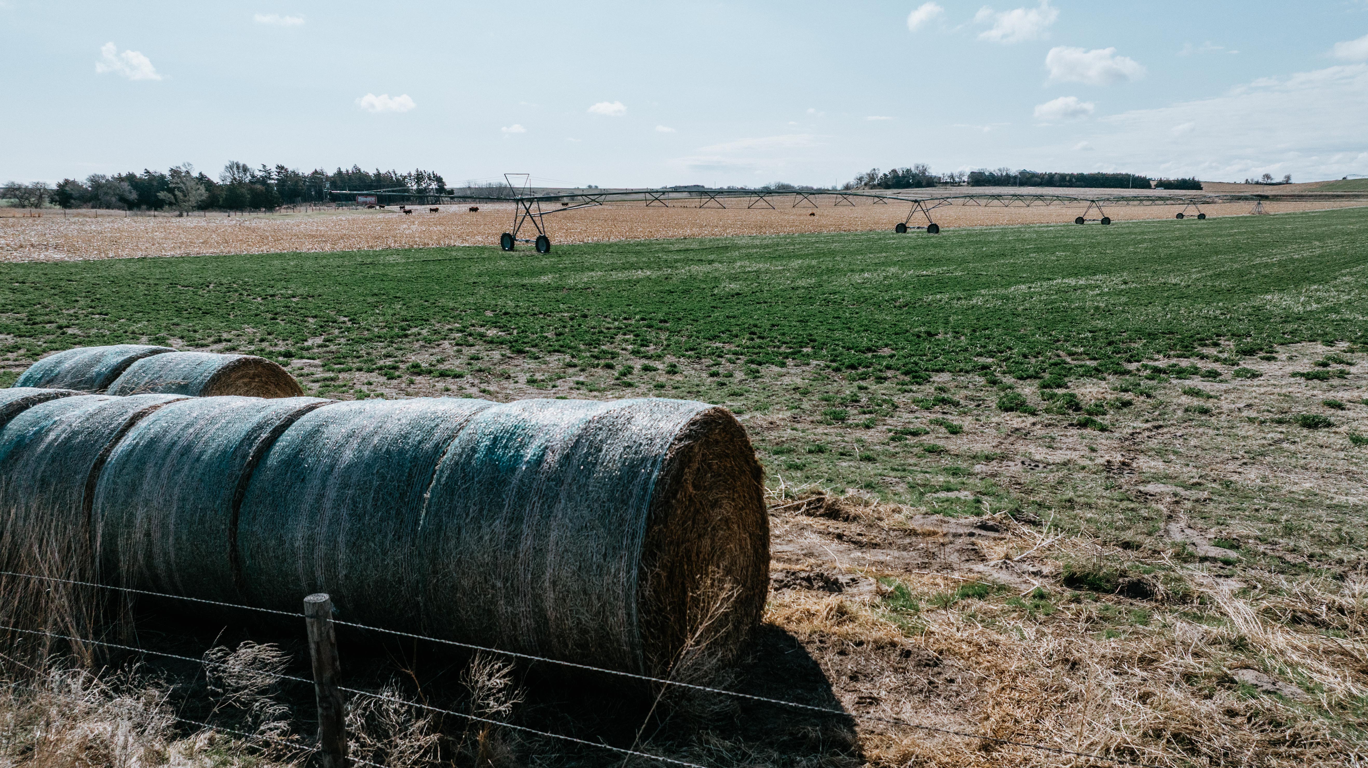 Pleasanton, NE 68866 - image 14
