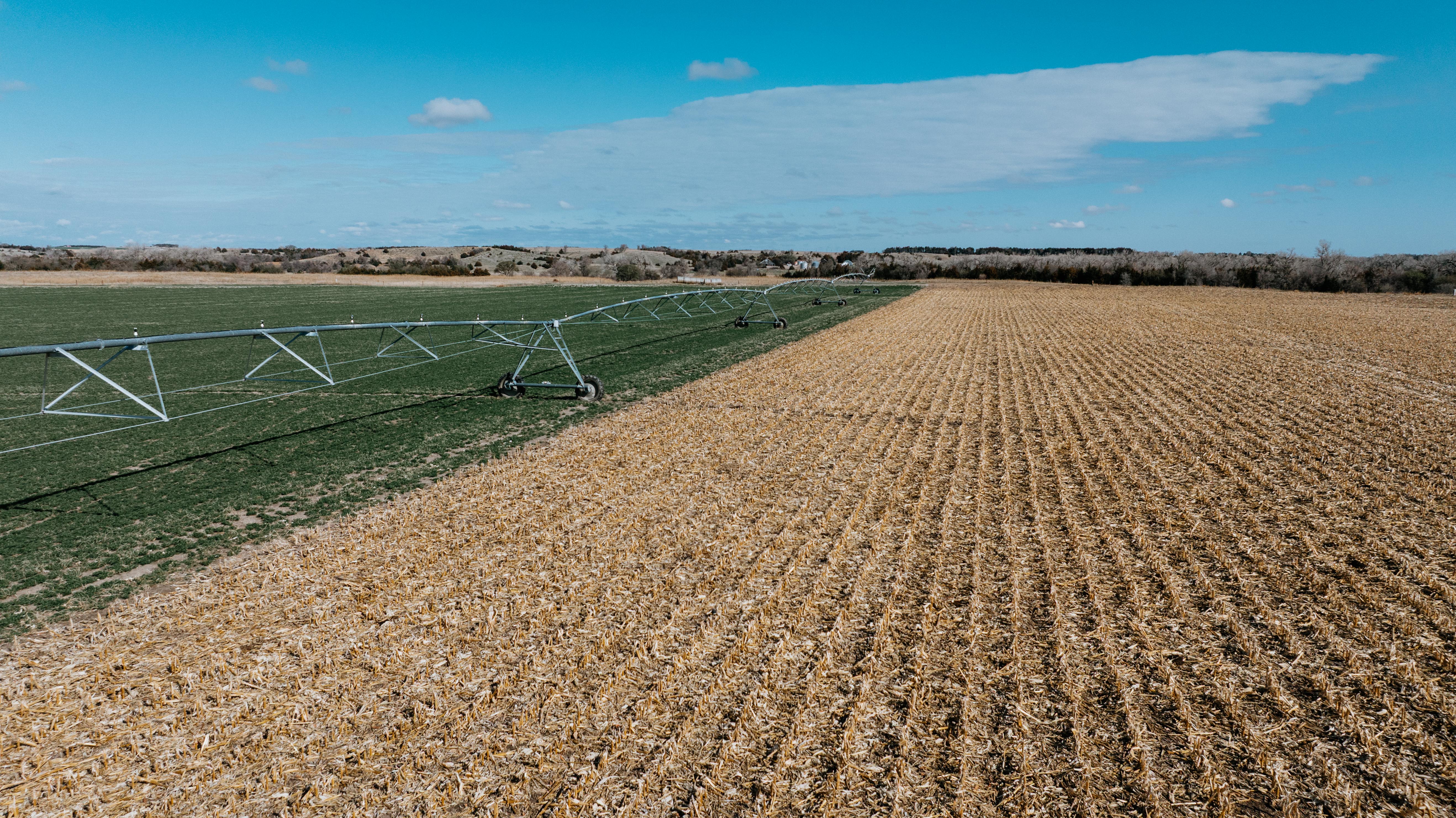Pleasanton, NE 68866 - image 12
