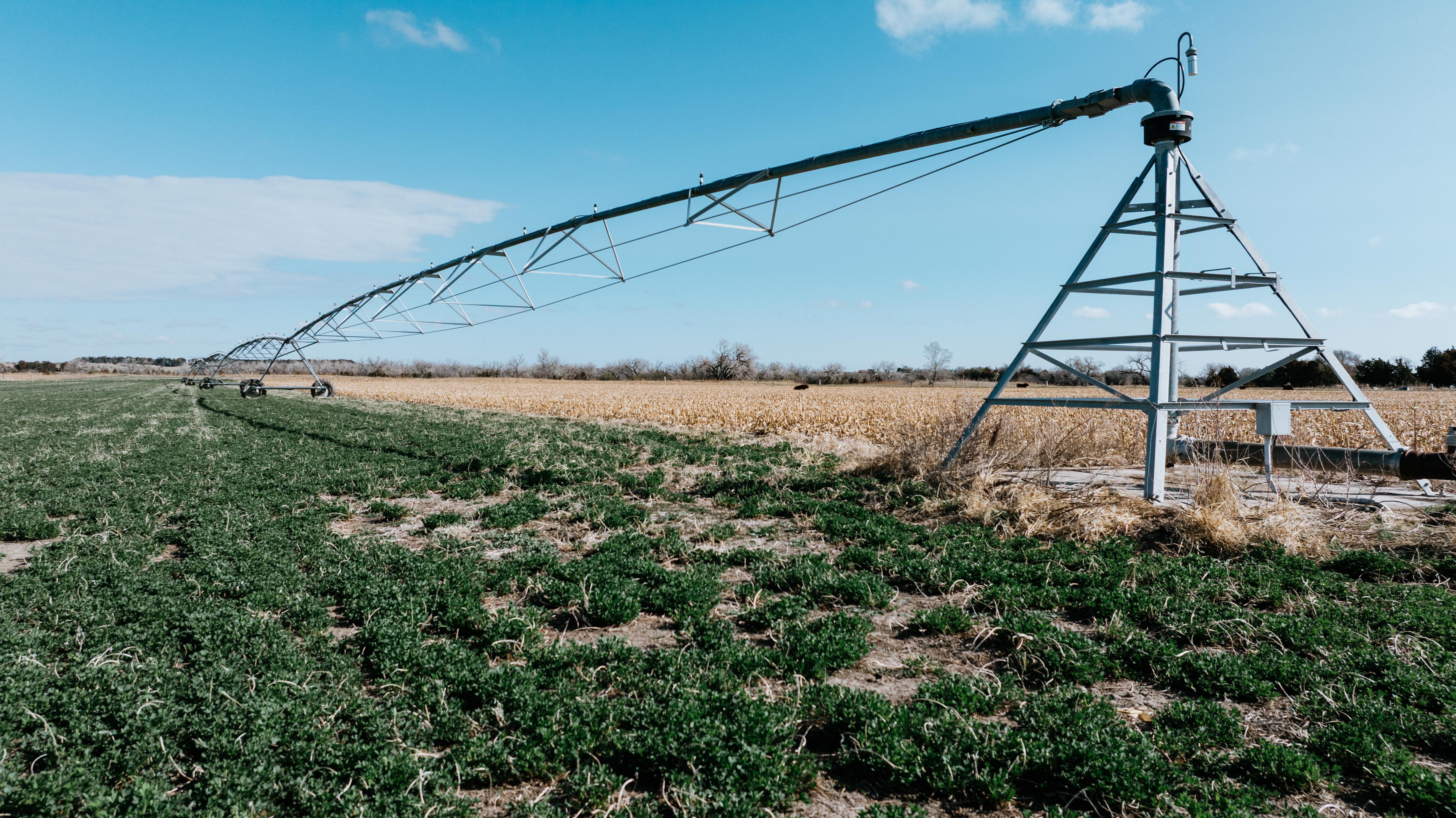 Pleasanton, NE 68866 - image 11