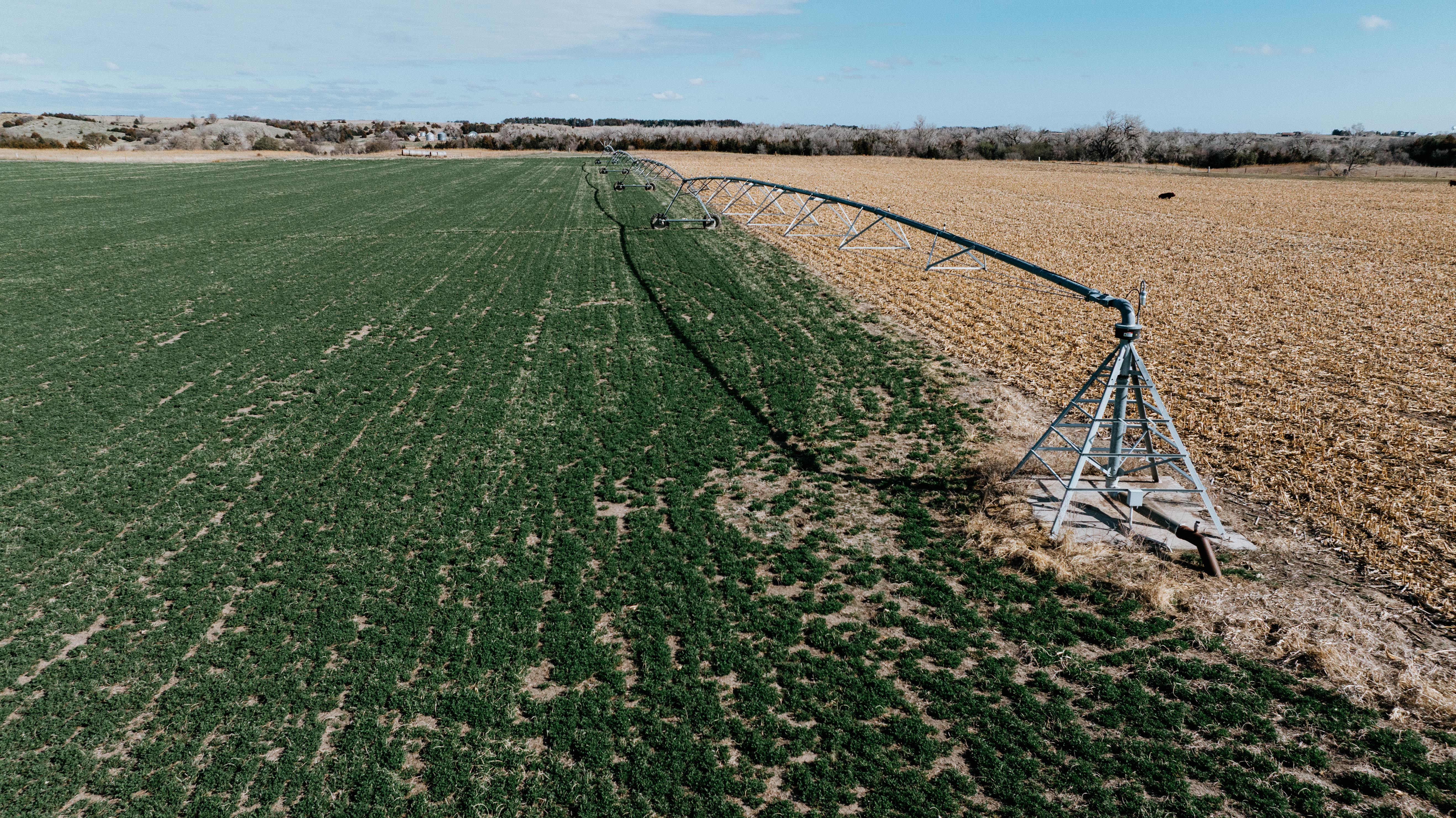 Pleasanton, NE 68866 - image 10