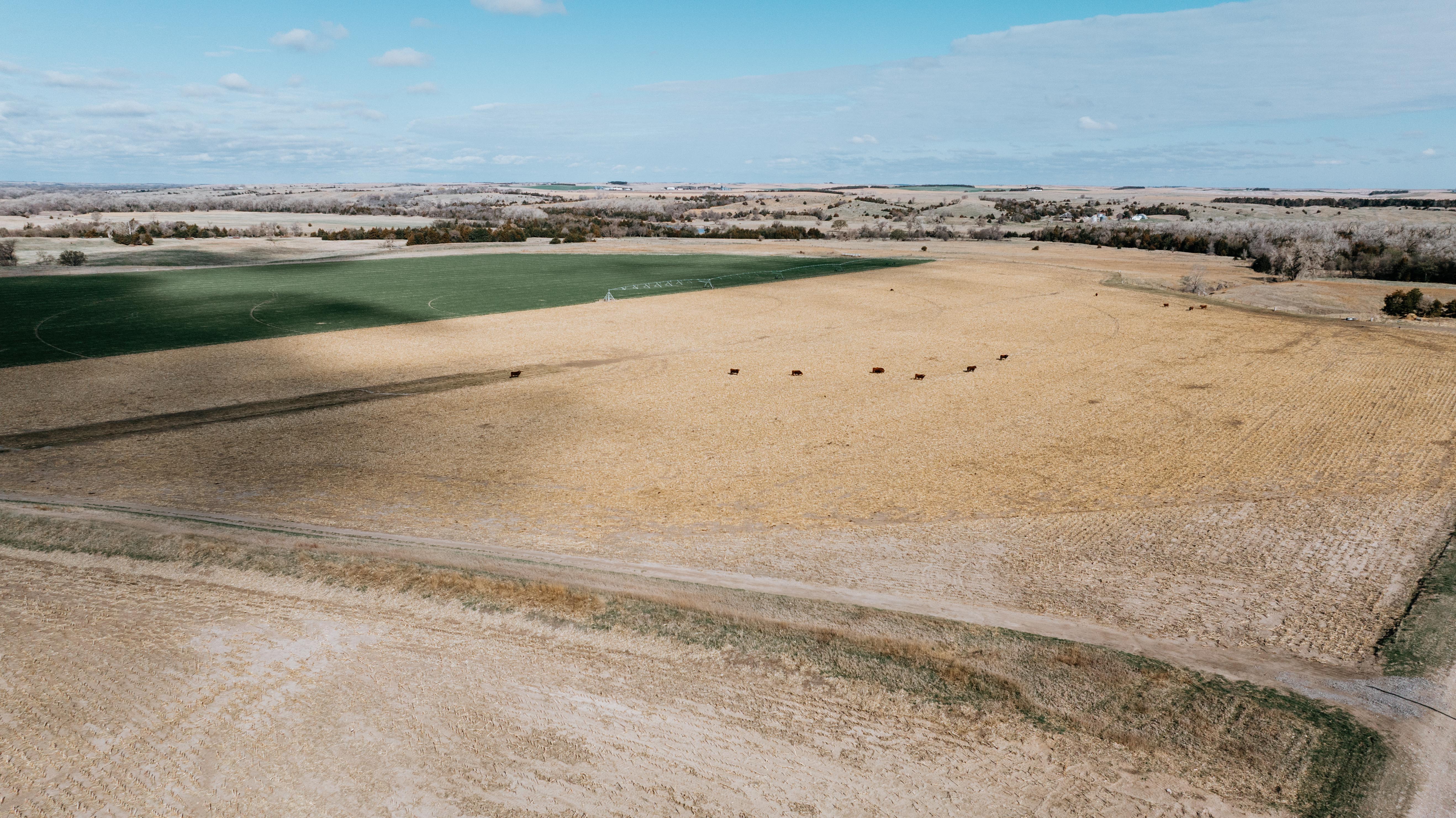 Pleasanton, NE 68866 - image 6