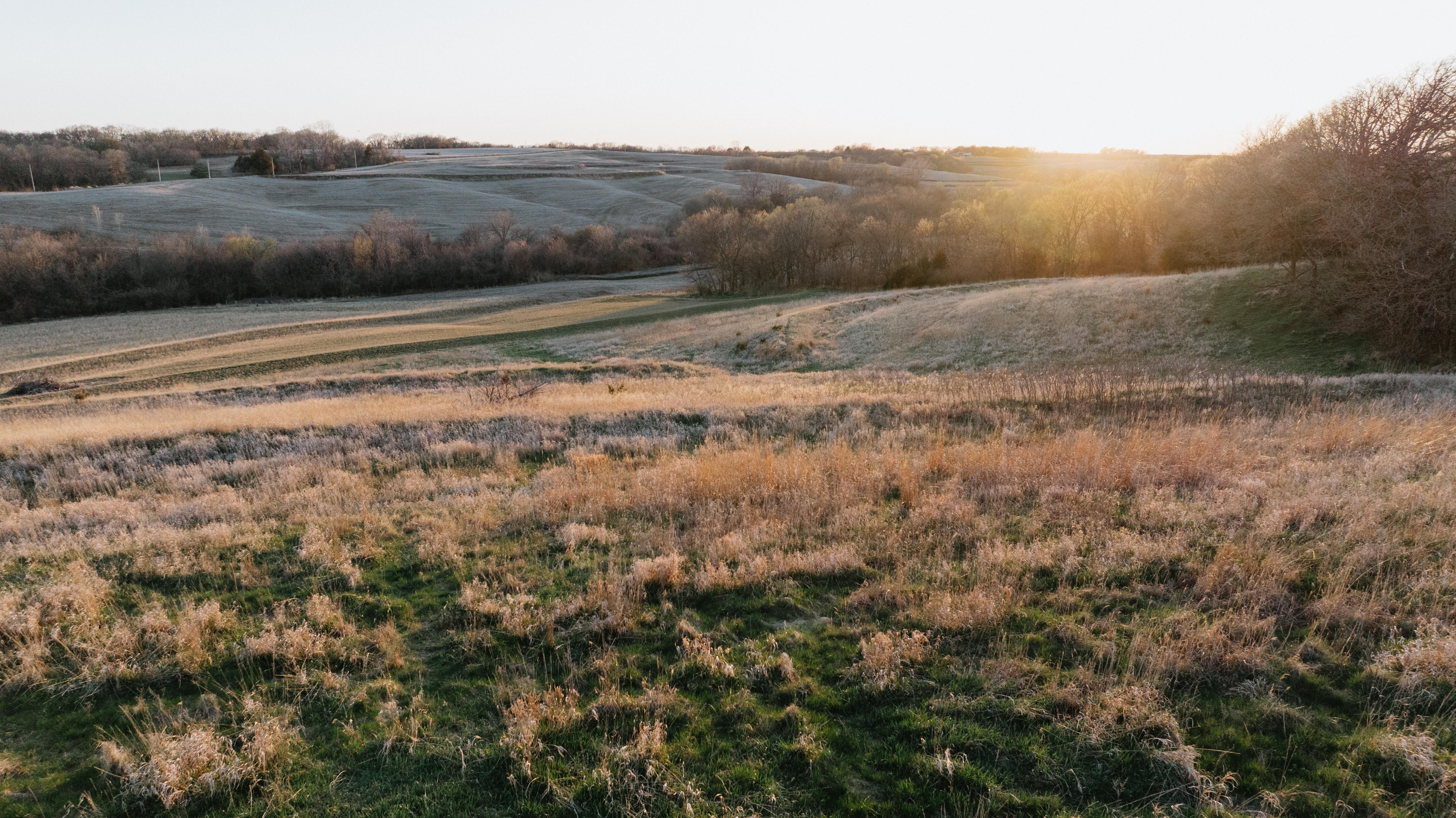 Plattsmouth, NE 68048 - image 29