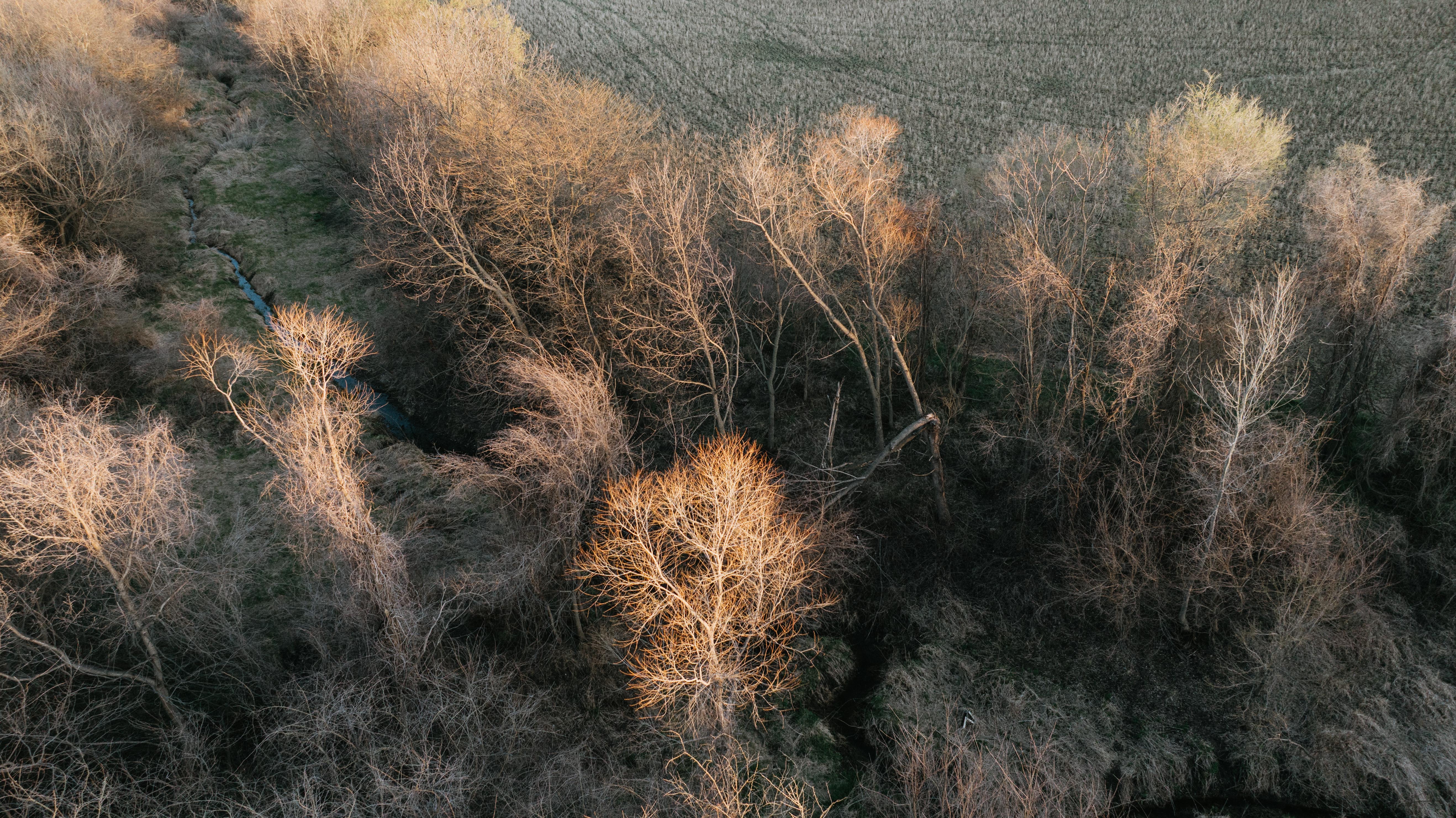 Plattsmouth, NE 68048 - image 21