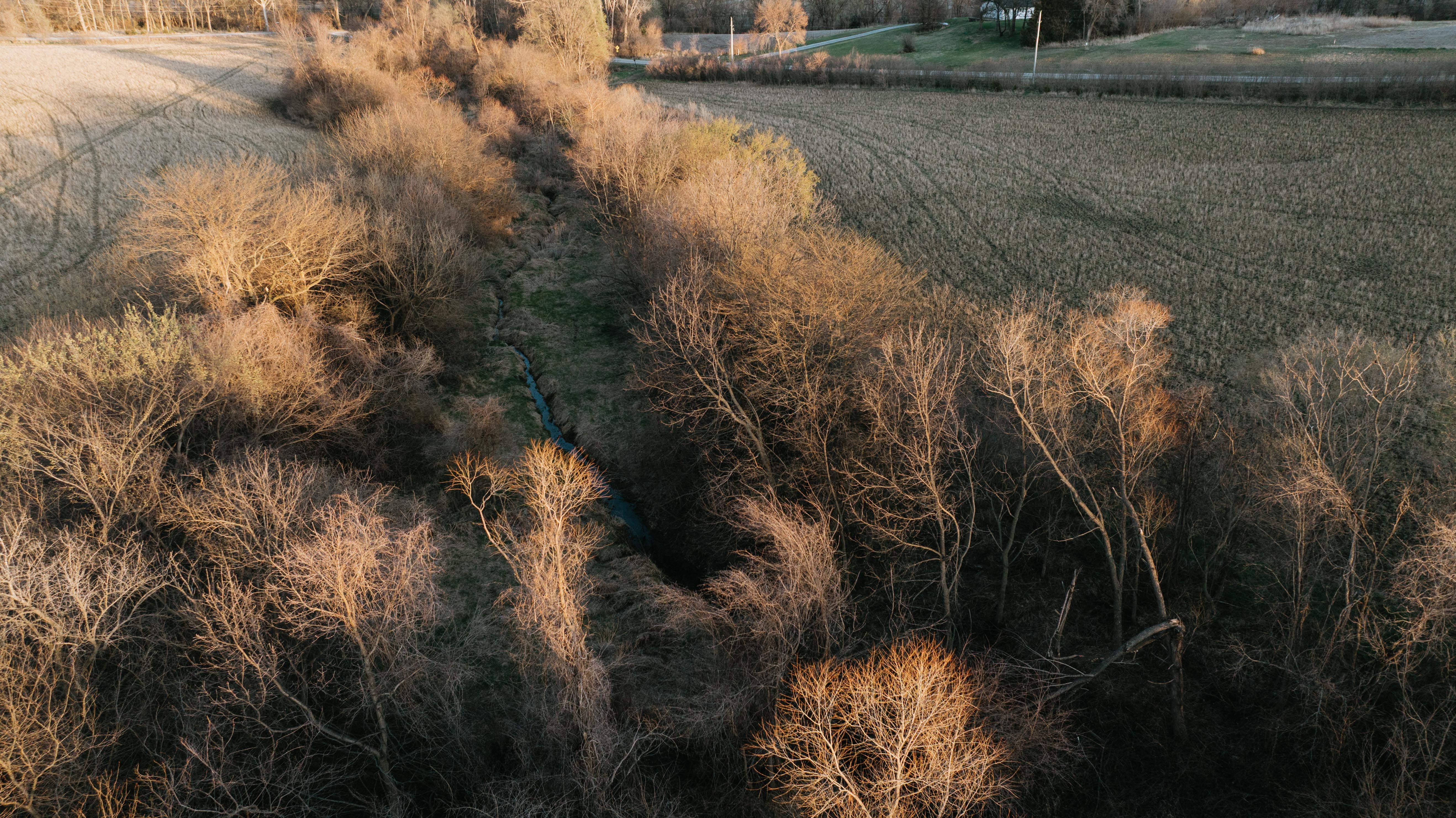Plattsmouth, NE 68048 - image 20