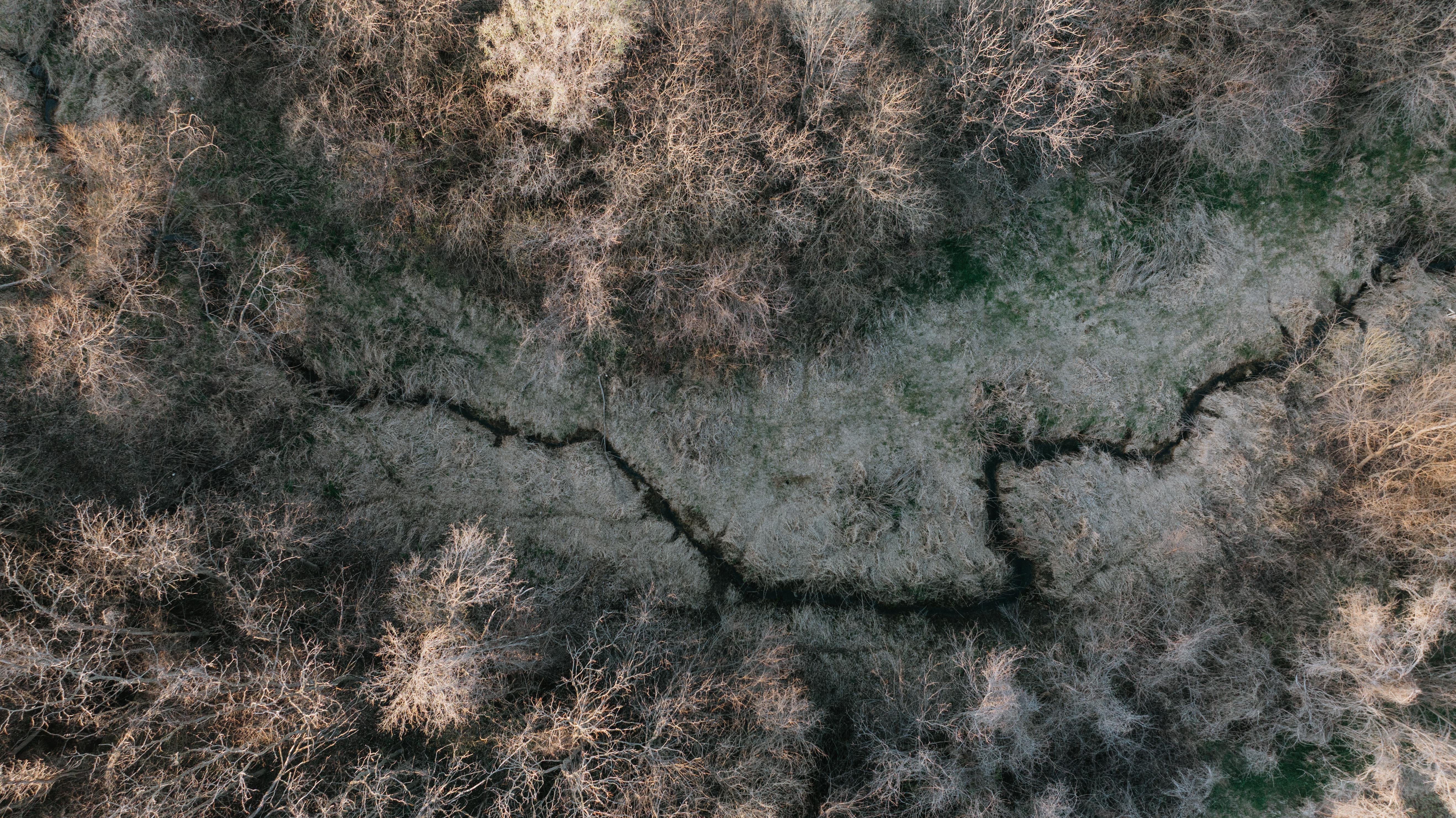 Plattsmouth, NE 68048 - image 16